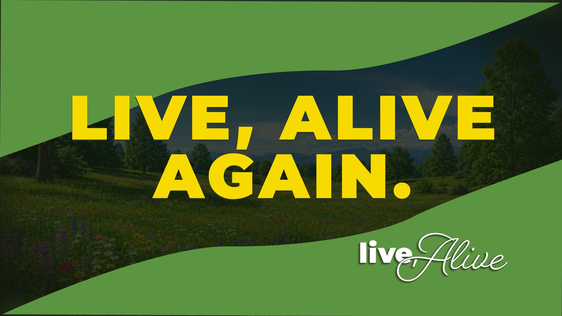 Live, Alive: Live Alive, Again