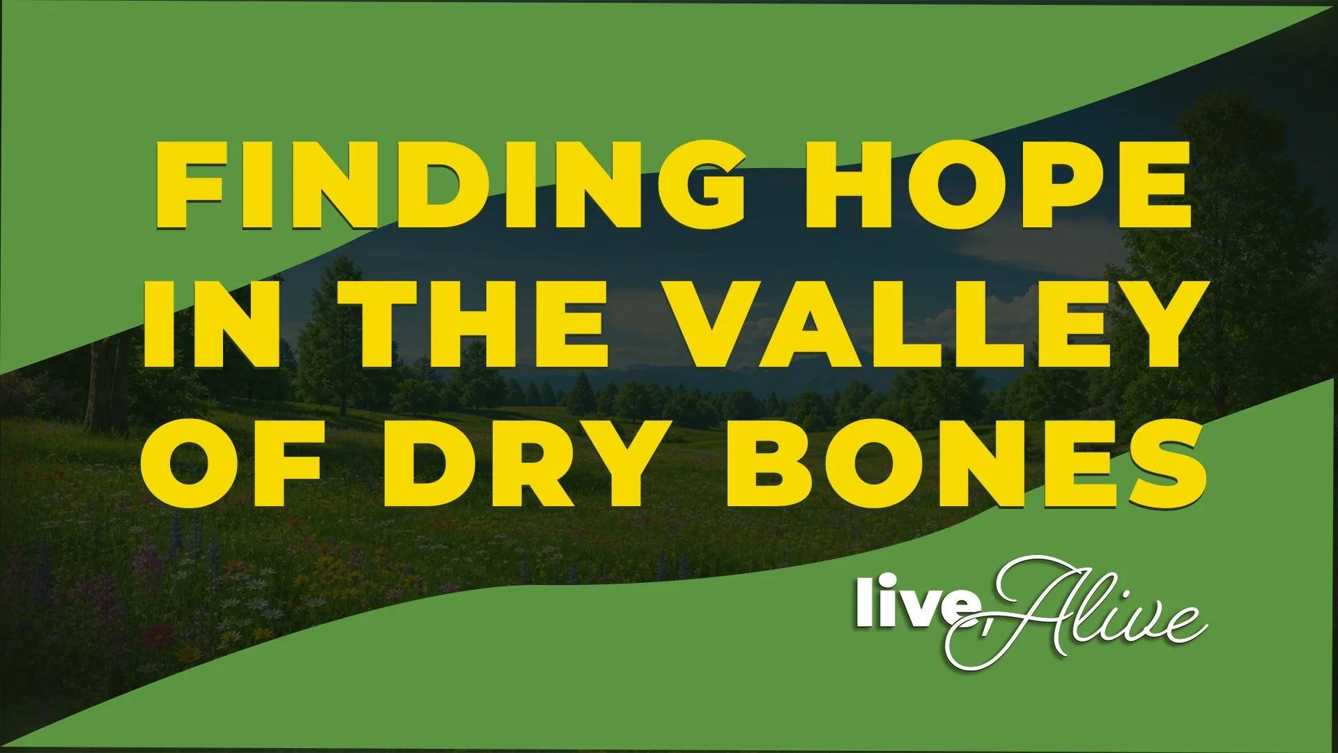 Live, Alive: Finding Hope in the Valley of Dry Bones