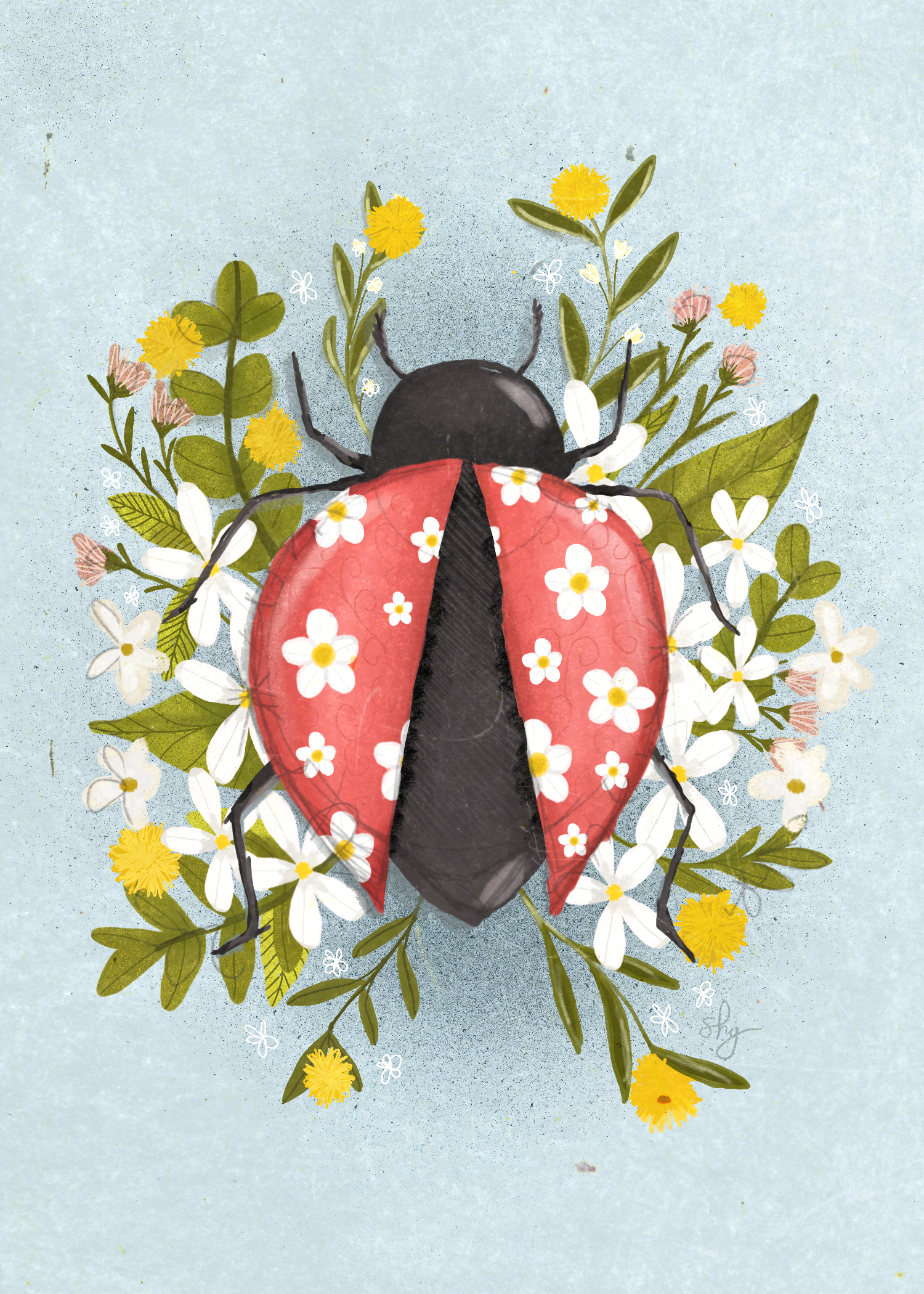 Illustrator's_Canvas 1.png