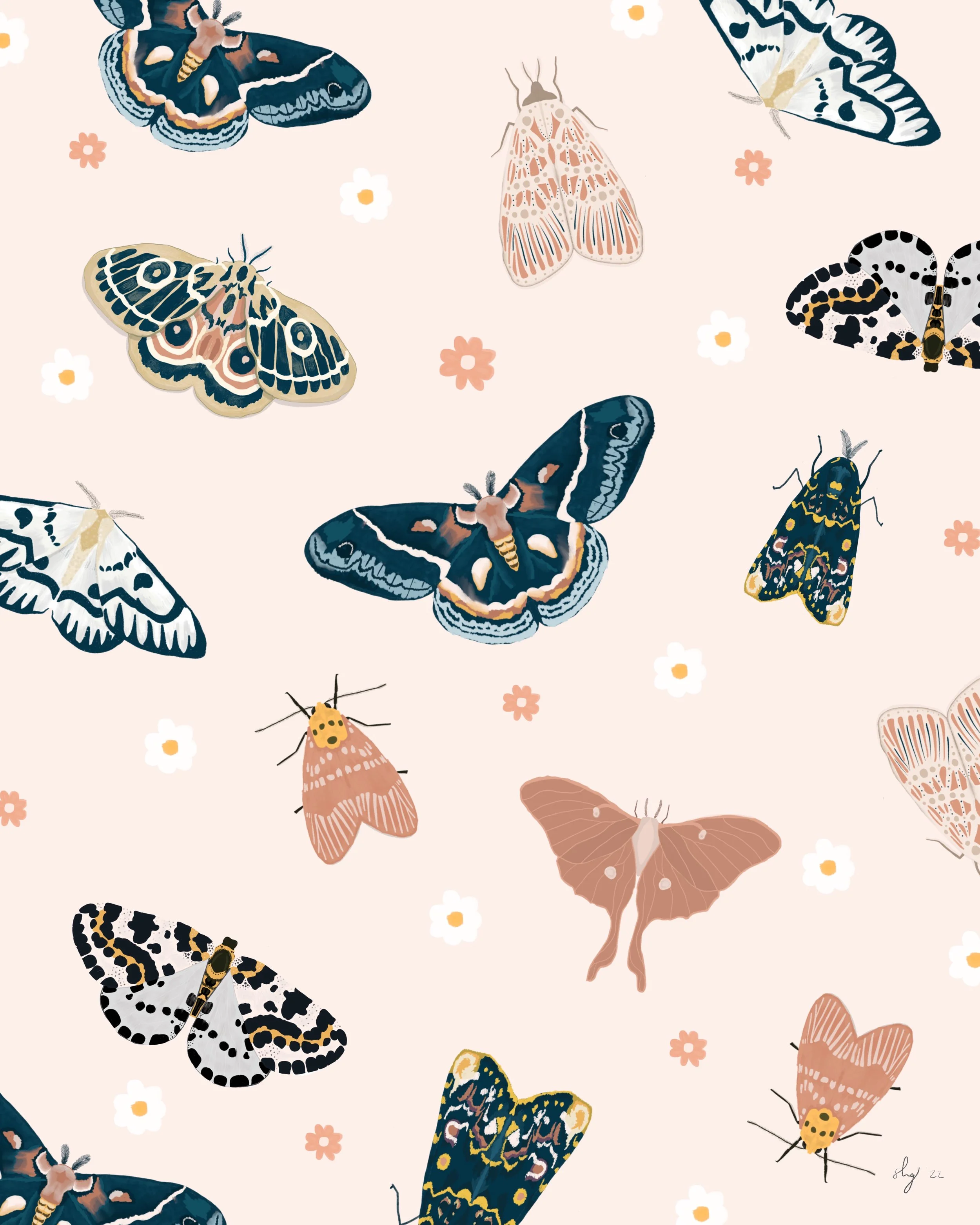 9_Moths_Scattered.jpg