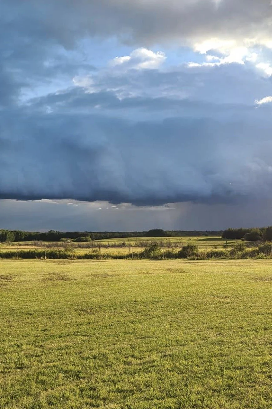 Screen Shot 2020-08-13 at 7.30.56 PM.jpeg