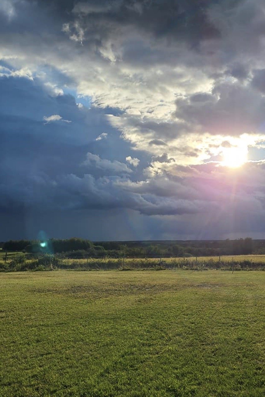 Screen Shot 2020-08-13 at 7.30.53 PM.jpeg