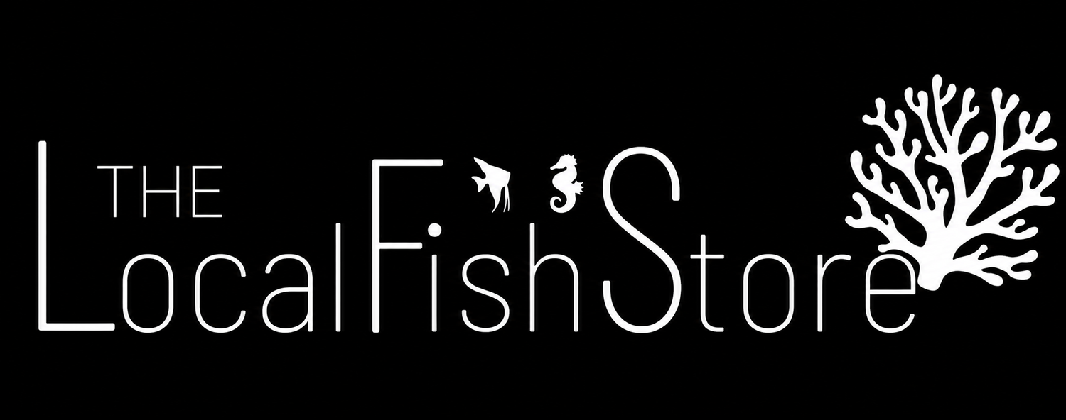 The Local Fish Store