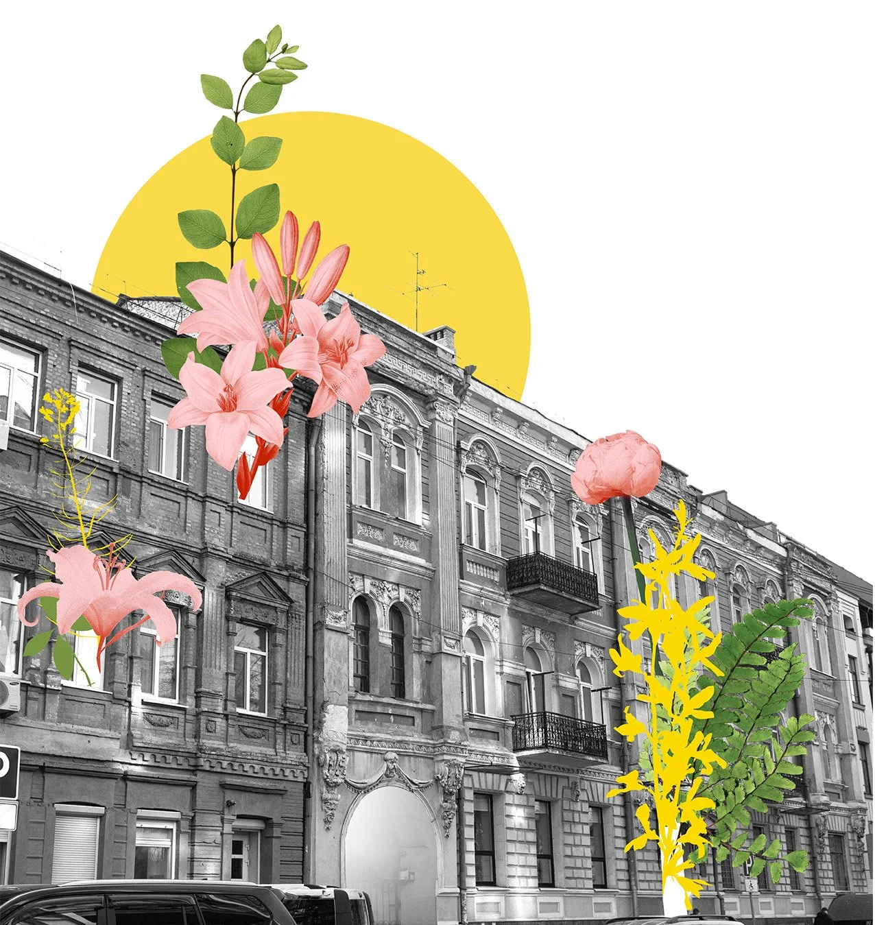 Black & white city buildings with coral and yellow flowers