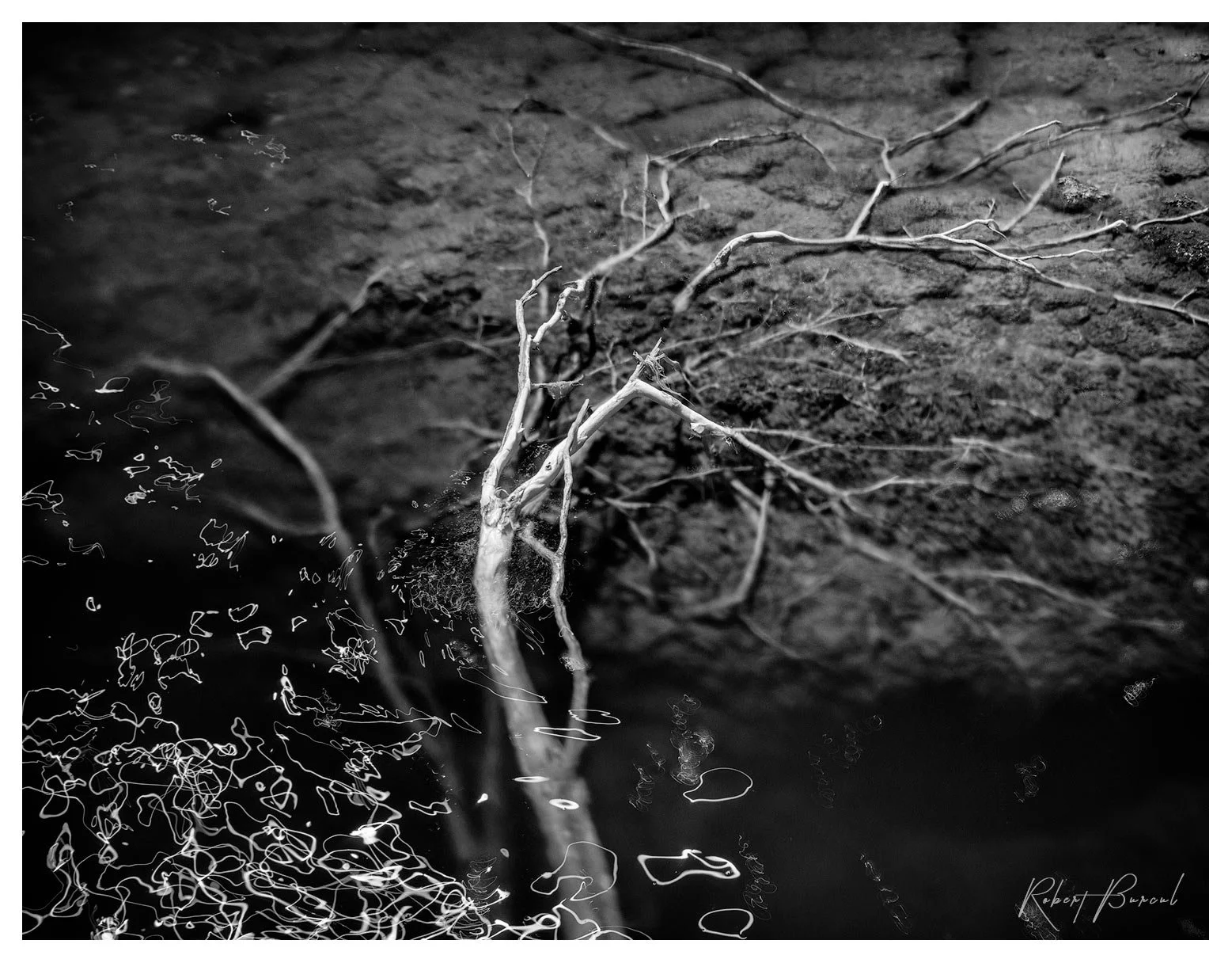 Infrared black and white image of specular highlights forming interesting light signature on a surface of the water
