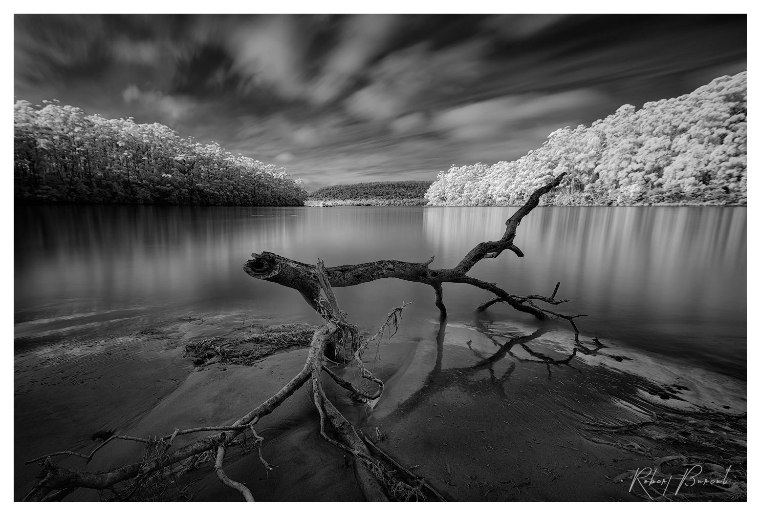 infrared black and white photograph of seaside scene of quiet bay with fallen branch in foreground and long exposure streaking white clouds