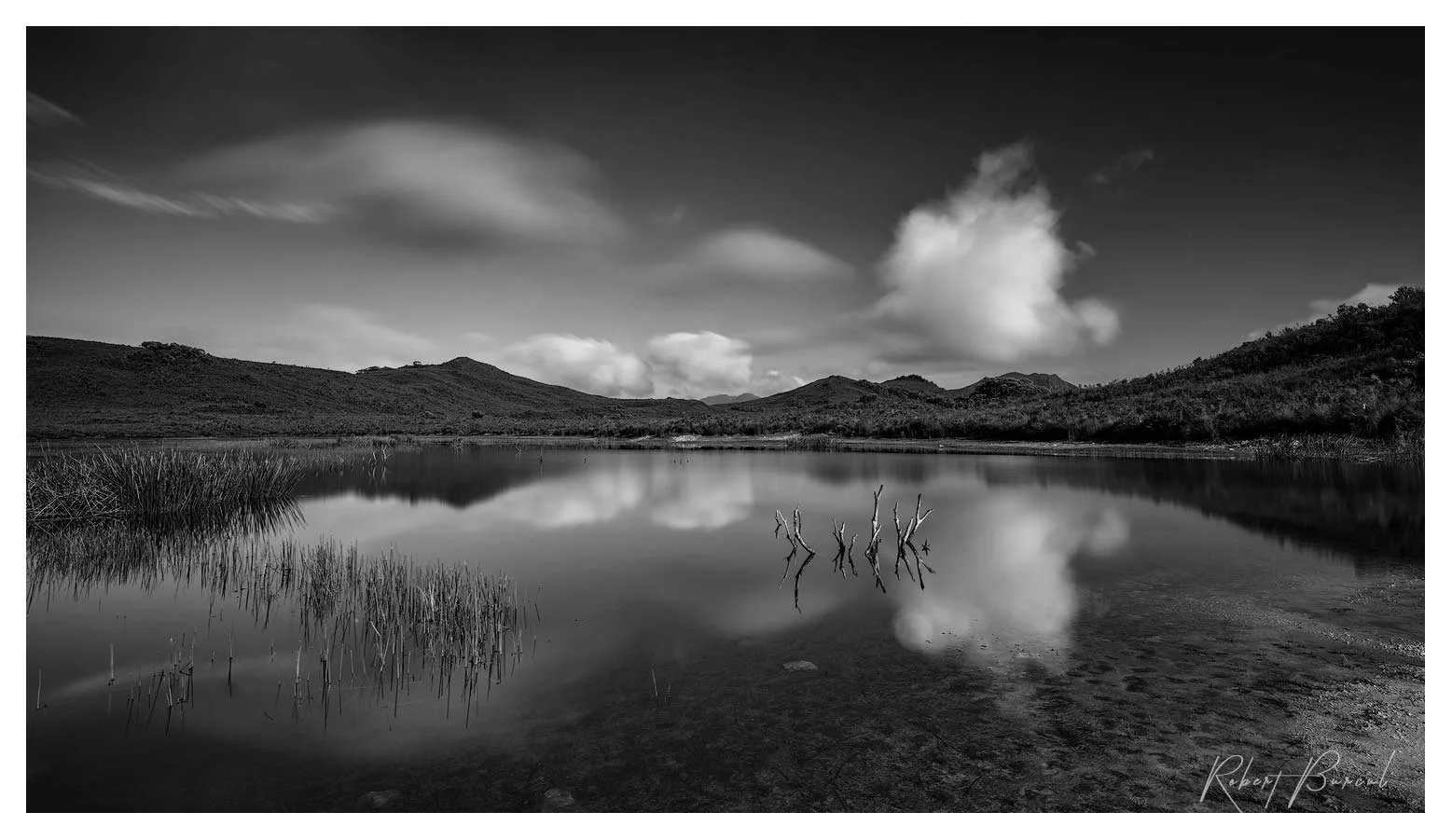 Black and white landscape with a bright cloud reflected in shallow water bordered by low vegetation.