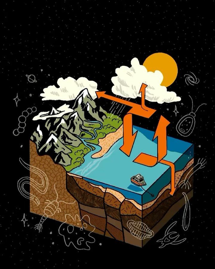 Illustrated cover for Trends in Microbiology Journal
Volume 32 special issue with iScience: Microbial nitrogen transformation processes across environments
June 2024 - Drawn in procreate.

#bookcover #scicomm #scientificjournal #sciart #microbes #nit