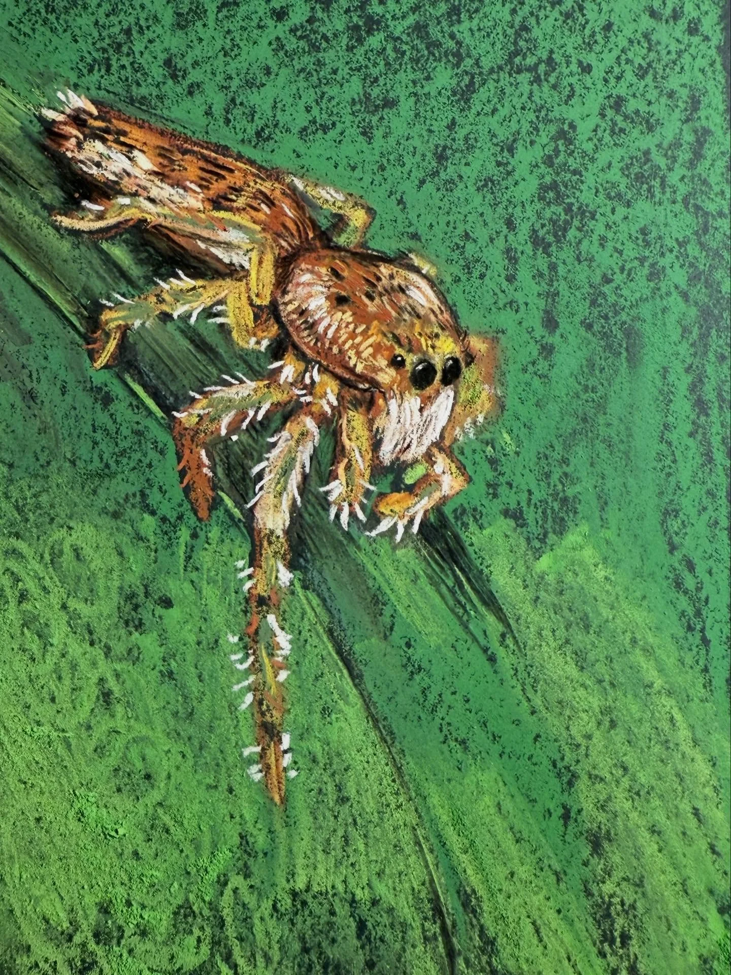 Can&rsquo;t stop with the pastels. This little dude was missing a leg in my garden a couple summers ago. Had fun watching them navigate my overgrown lawn. 

1hr sketch with chalk pastels on black paper

#jumpingspider #pasteldrawing #sketchbook #natu