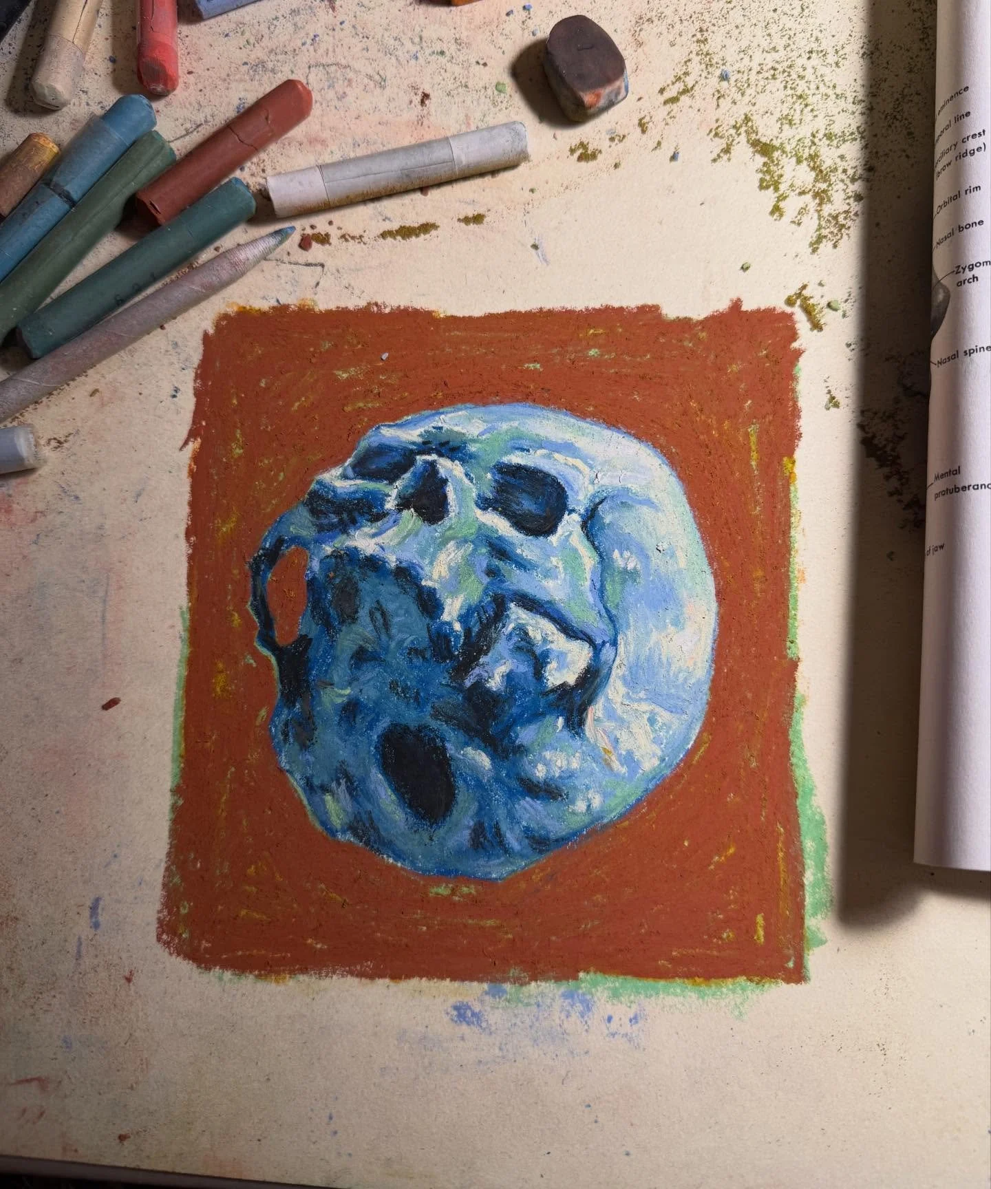 A wonky skull study from a very well loved book. 

#anatomystudy #chalkpastel #colortheoryishard #medicalillustration