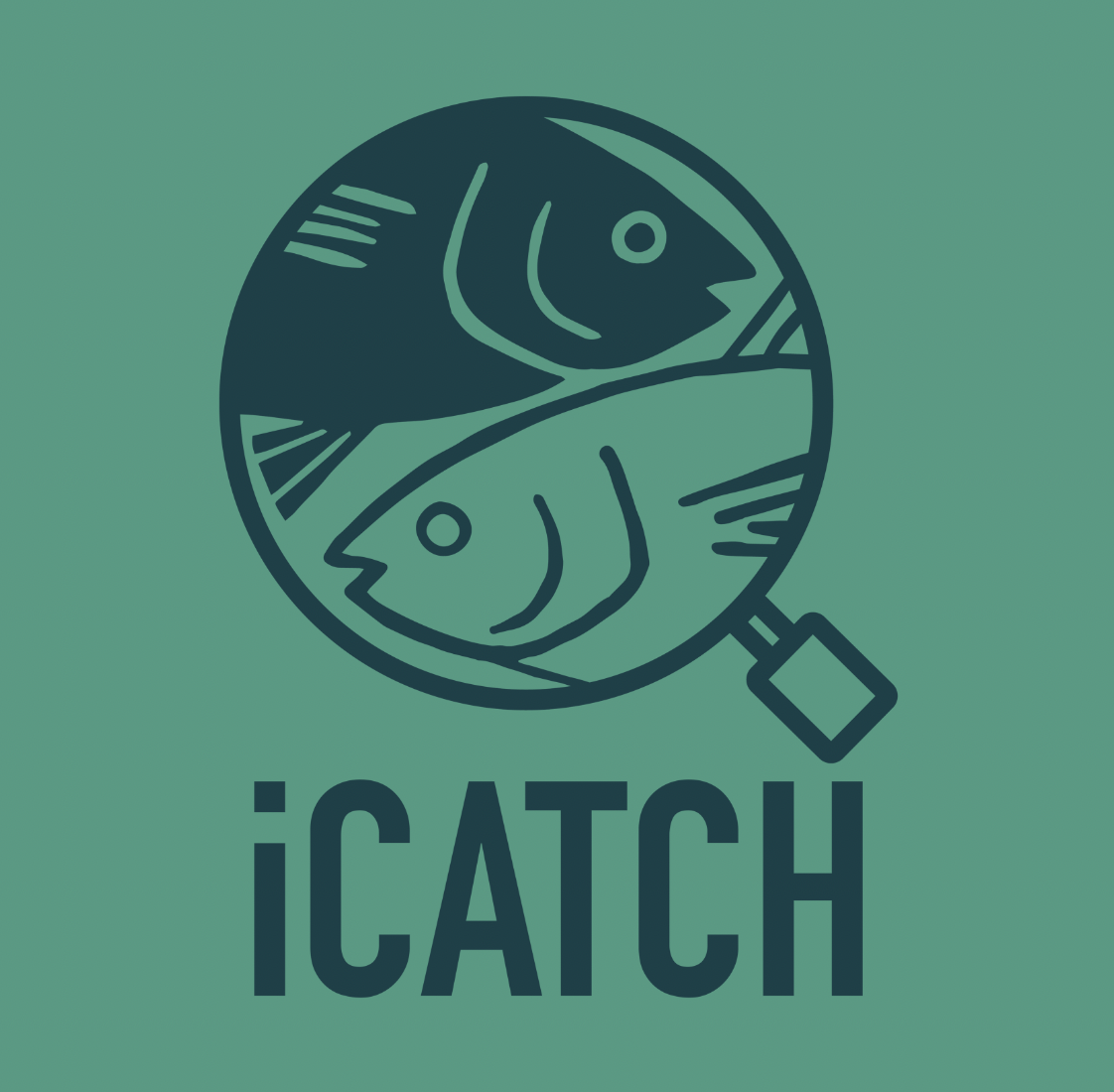 iCatch App