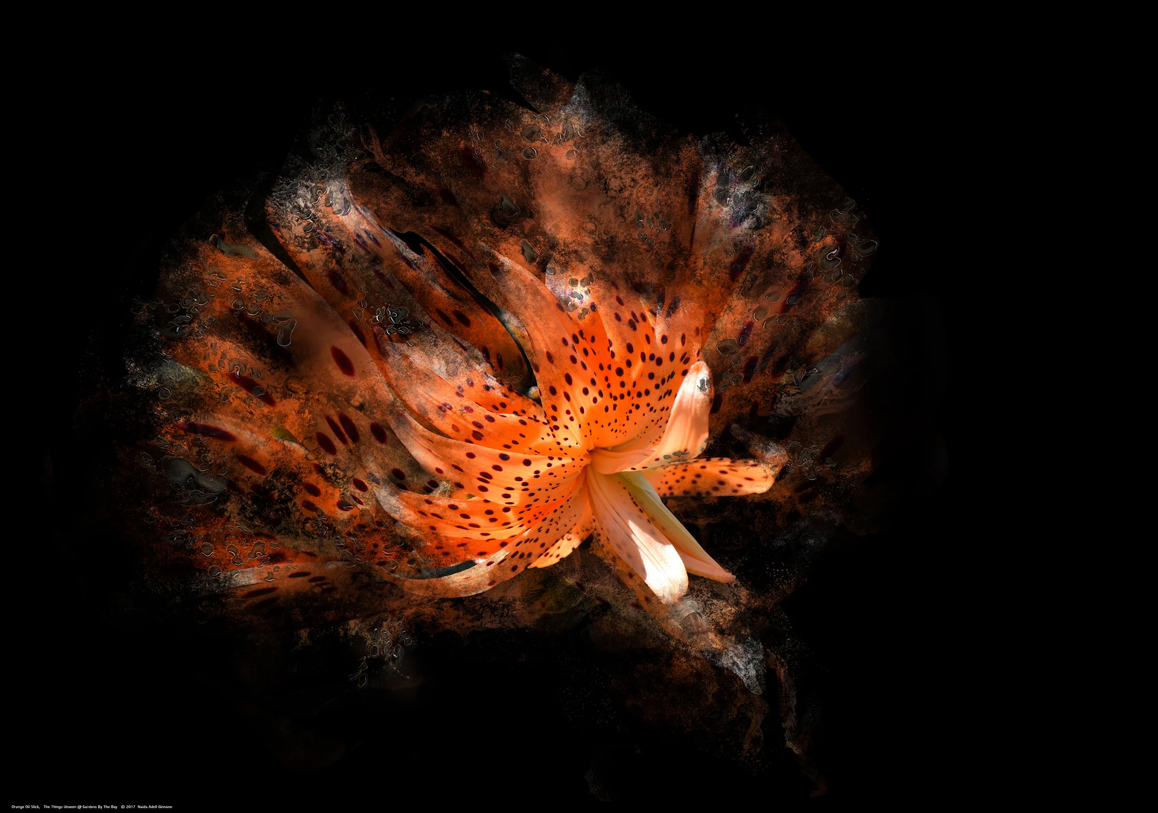 Orange-Oil_Slick.jpg