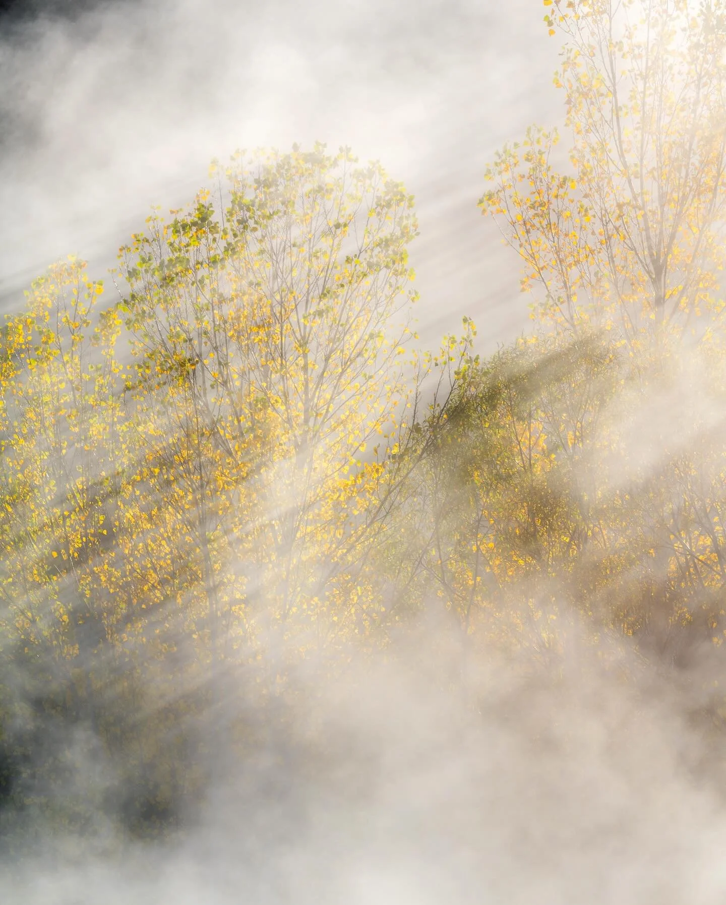 The beautiful Cluther River on a recent Photo trip to New Zealand. Painting with light and fog! 😁
