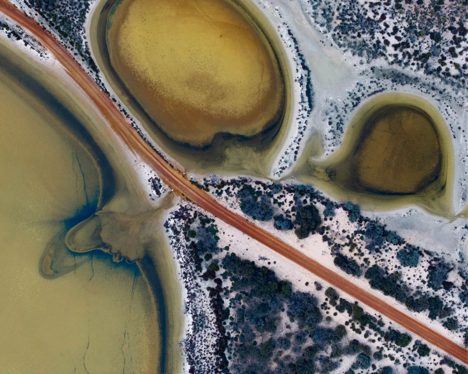 Emergence.  Underground springs surfacing through desert salt in the Australian outback — two olive-green oval pools rimmed with white salt, crossed by a red dirt road. Earthy, atmospheric wall art for home and collectors.