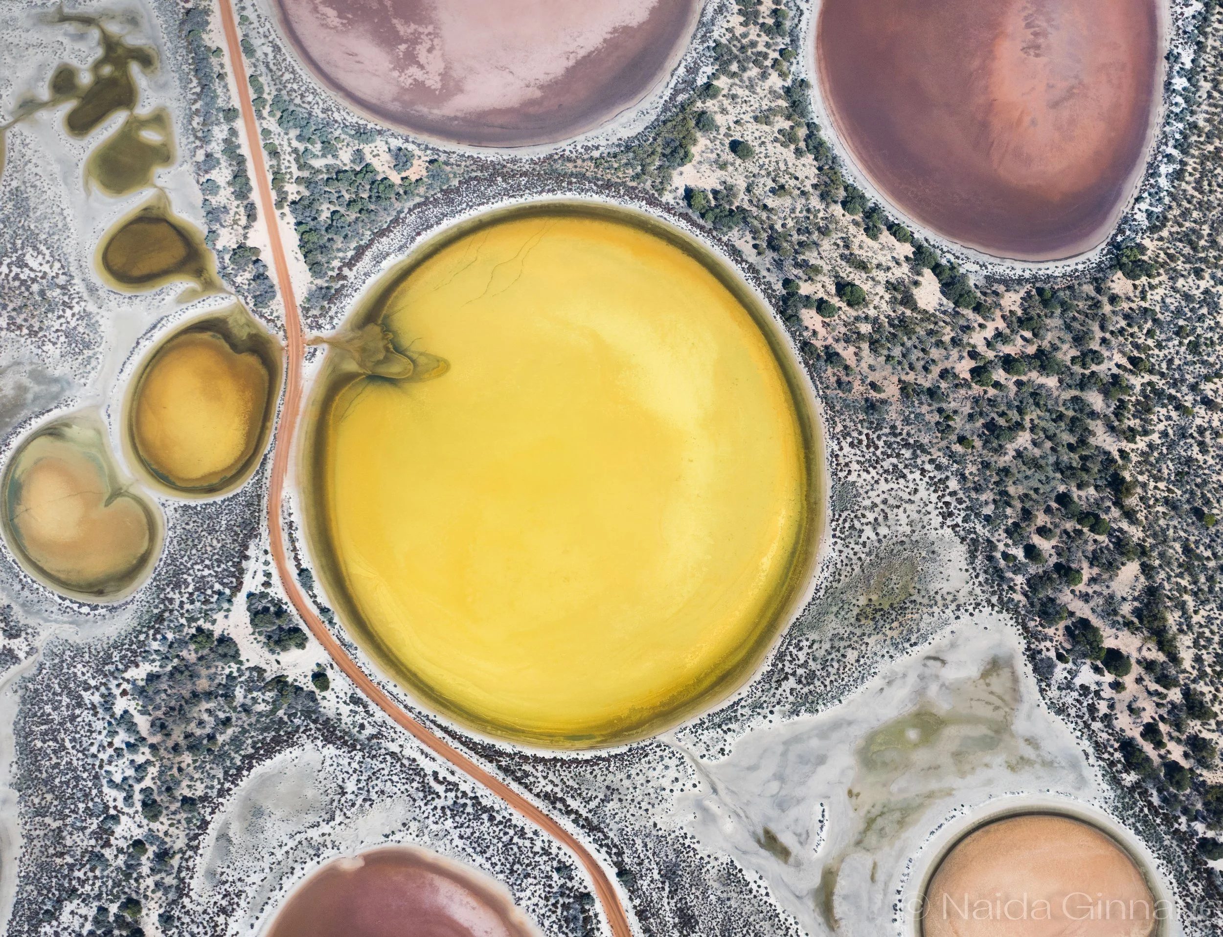Aerial view of colorful salt evaporation ponds separated by dikes, with purple, yellow, and brown hues, surrounded by dry land and sparse vegetation.