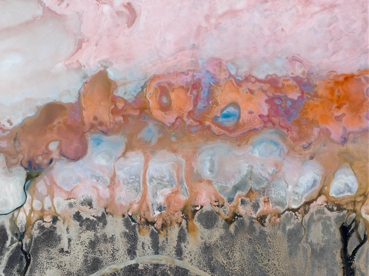 Salt Bloom — Delta.   A salt lake edge in the Australian desert— branching forms where fresh water meets salt, blush pink and white. Limited edition wall art for contemporary interiors.