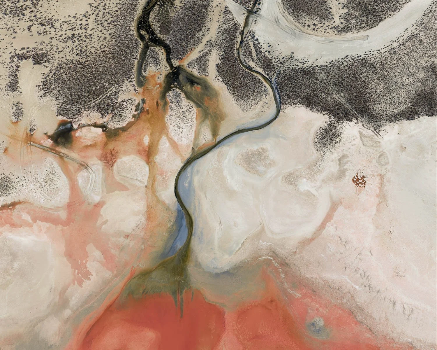Salt Bloom — Ink.  A sinuous black creek threading through pale salt flats, Australian desert outback, with a deep crimson lake at the edge. Bold, graphic wall art for contemporary interiors.