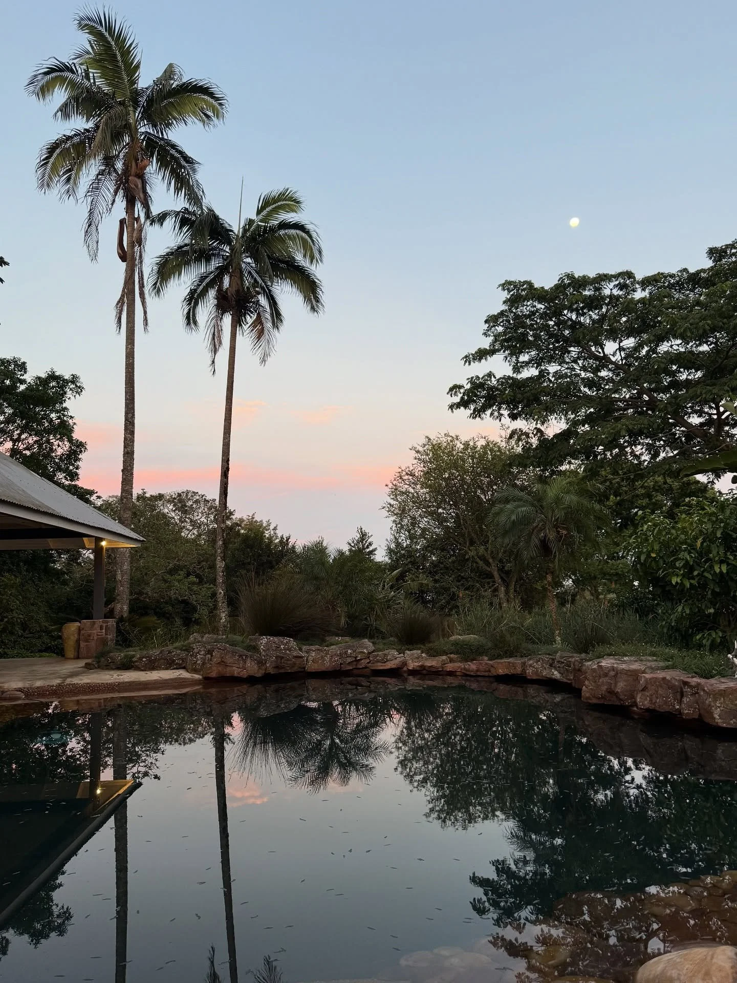 KZN - it will always sink its claws into you. Even the flying ants sadly having to come to their inevitable demise in the swimming pool paint a picture of what it&rsquo;s like to see the sunshine after the rain. The dust has washed away, the rain has