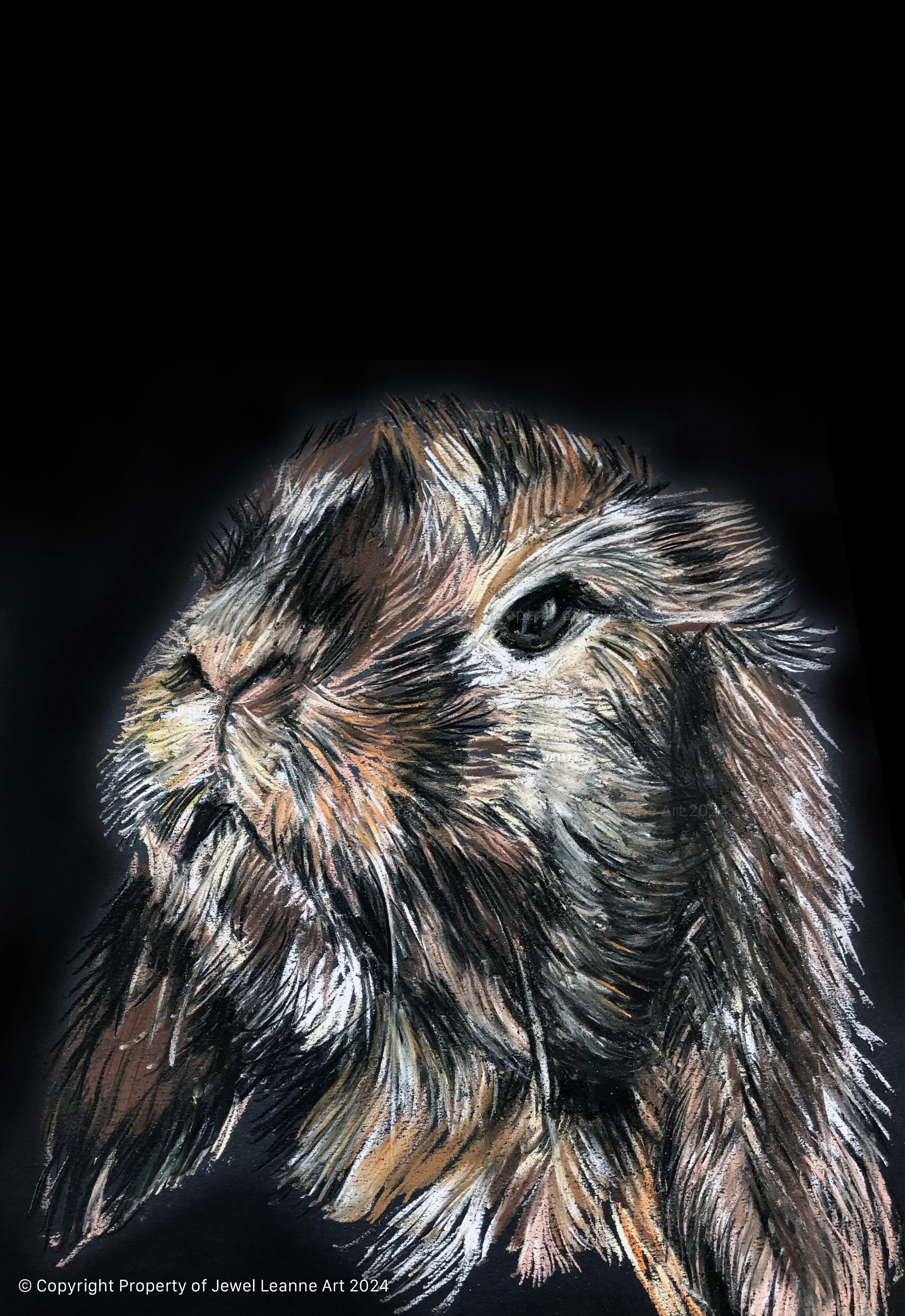 Rabbit .jpg