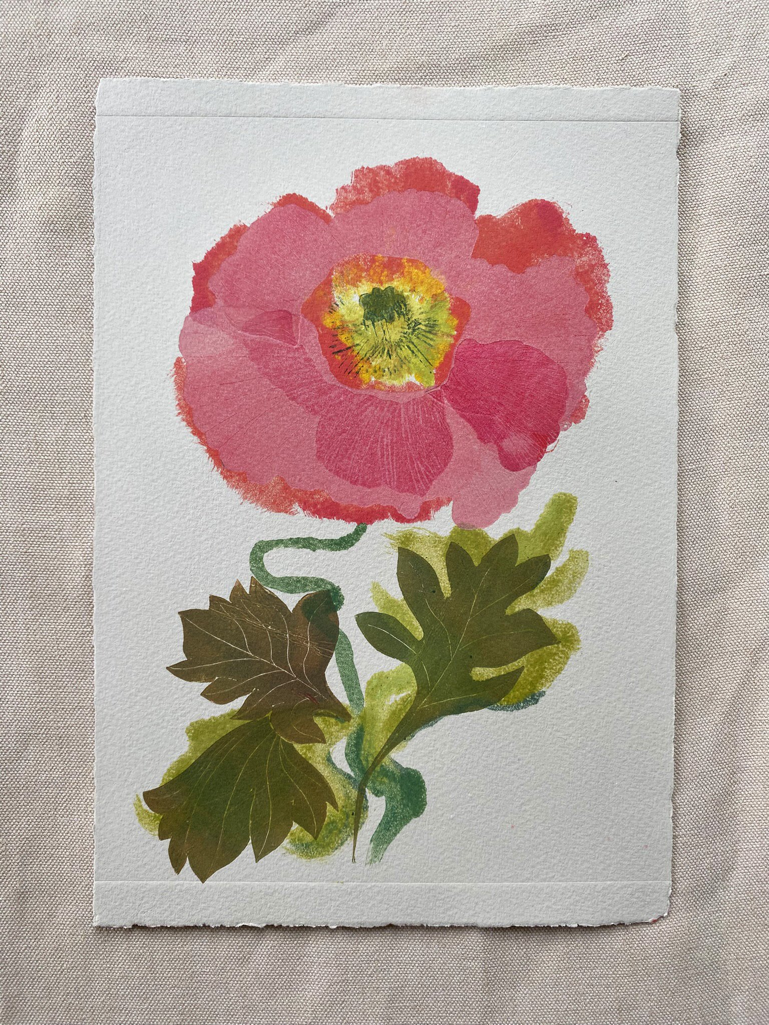 Drift – Icelandic Poppy Print