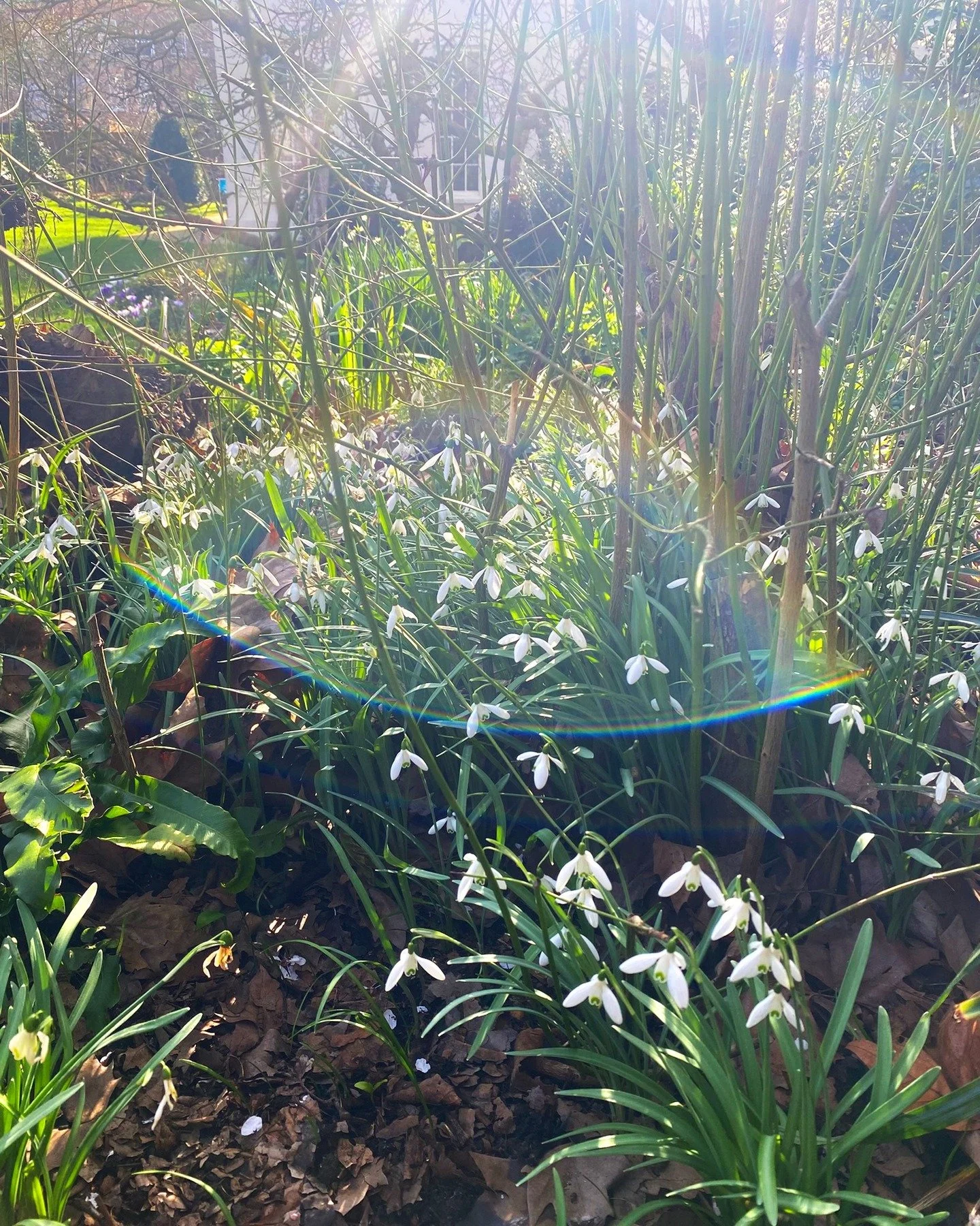 I know I'm not the only one drowning in the eternal grey that has been January and Febuary. But there have been glimmers along the way...always chasing the light.