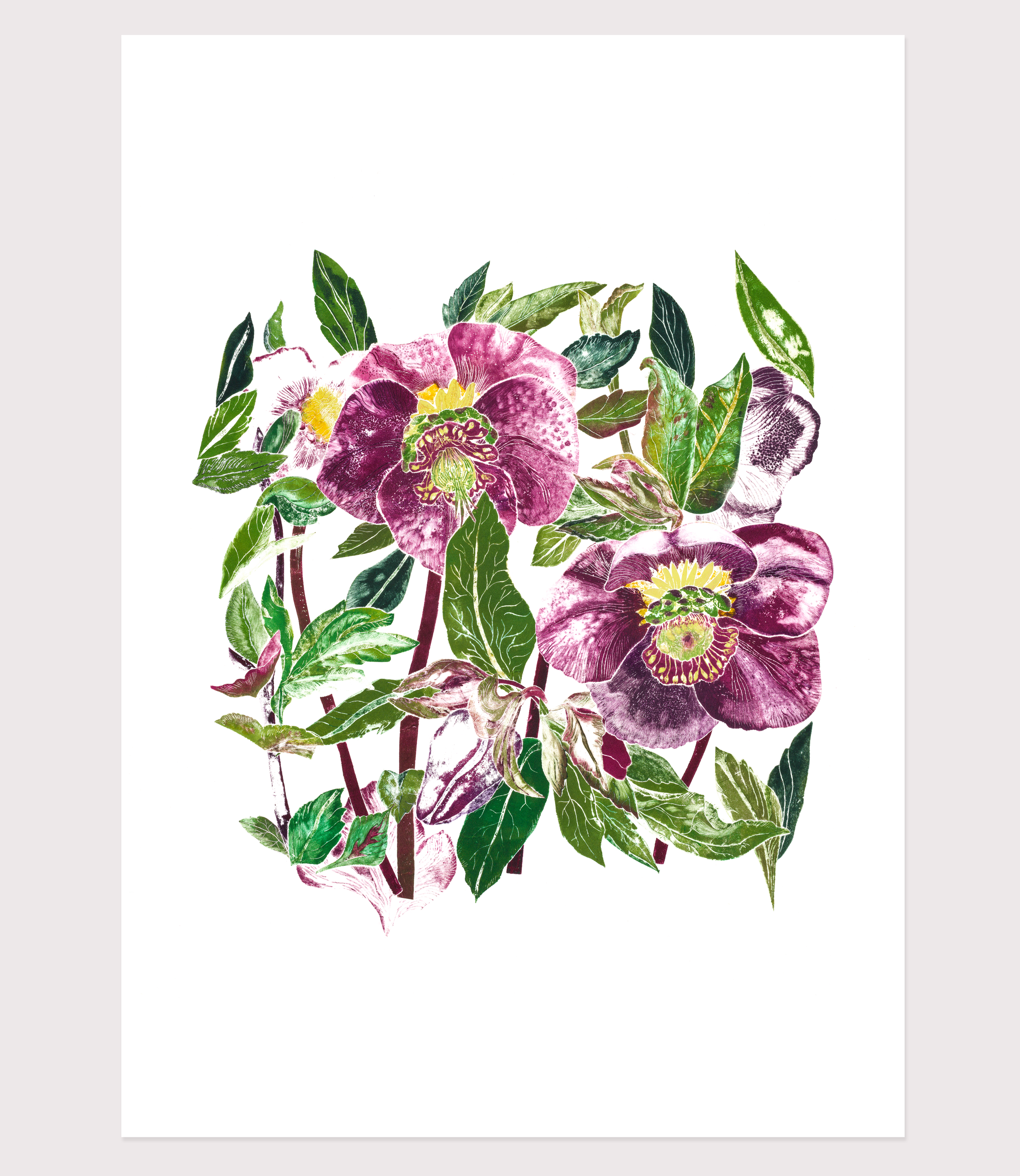 Etsy Product_hellebore.png