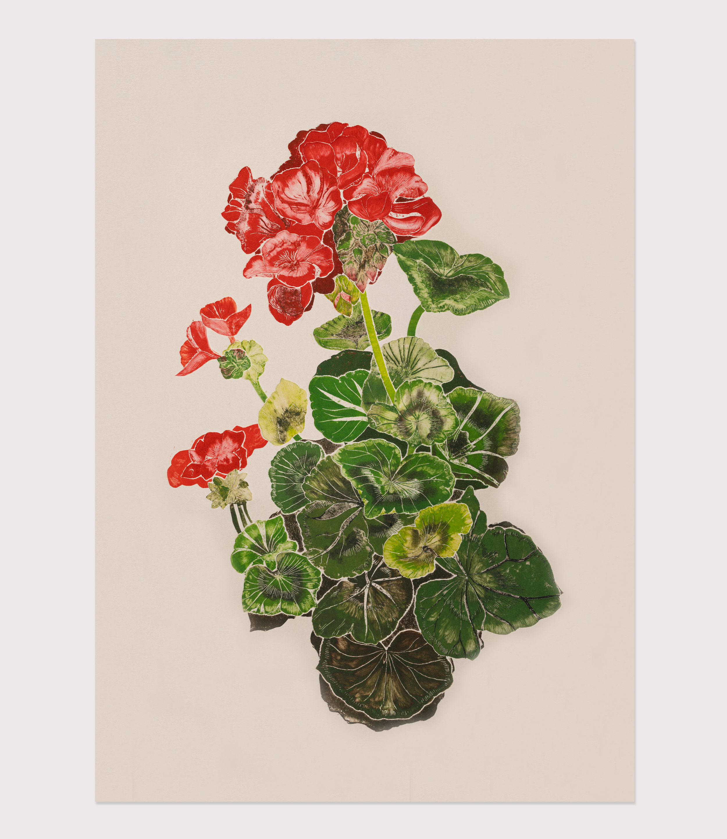 Etsy Product_Geranium.png