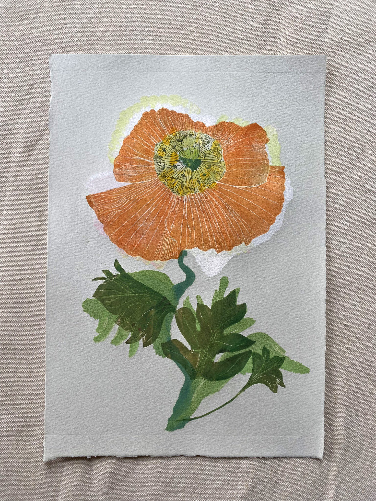 Skim – Icelandic Poppy Print