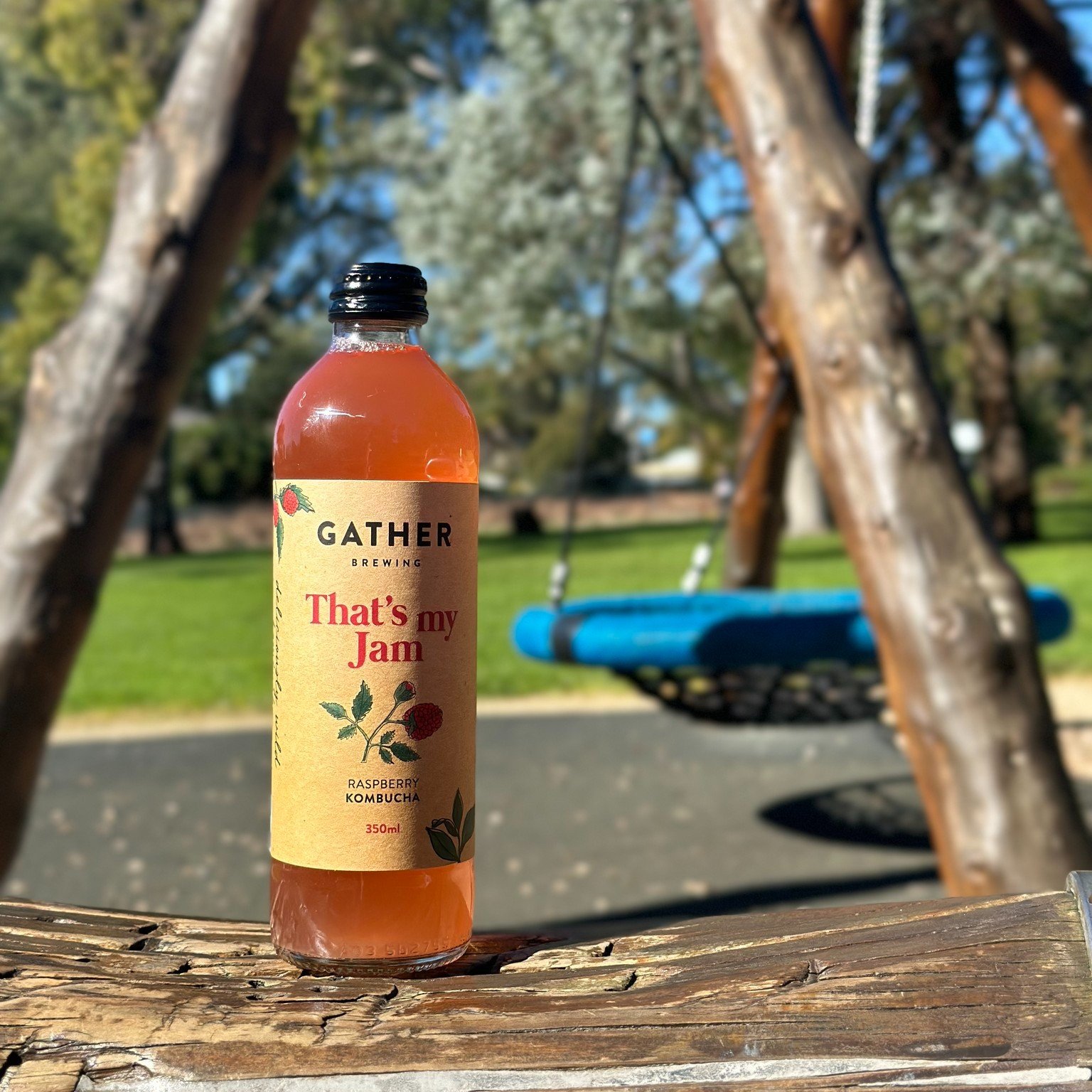 Come to the park with us 🛝🌞

Blue skies, kids having fun, kombucha in hand - Does it get any better?

#Kombucha #Park #ColdDrink