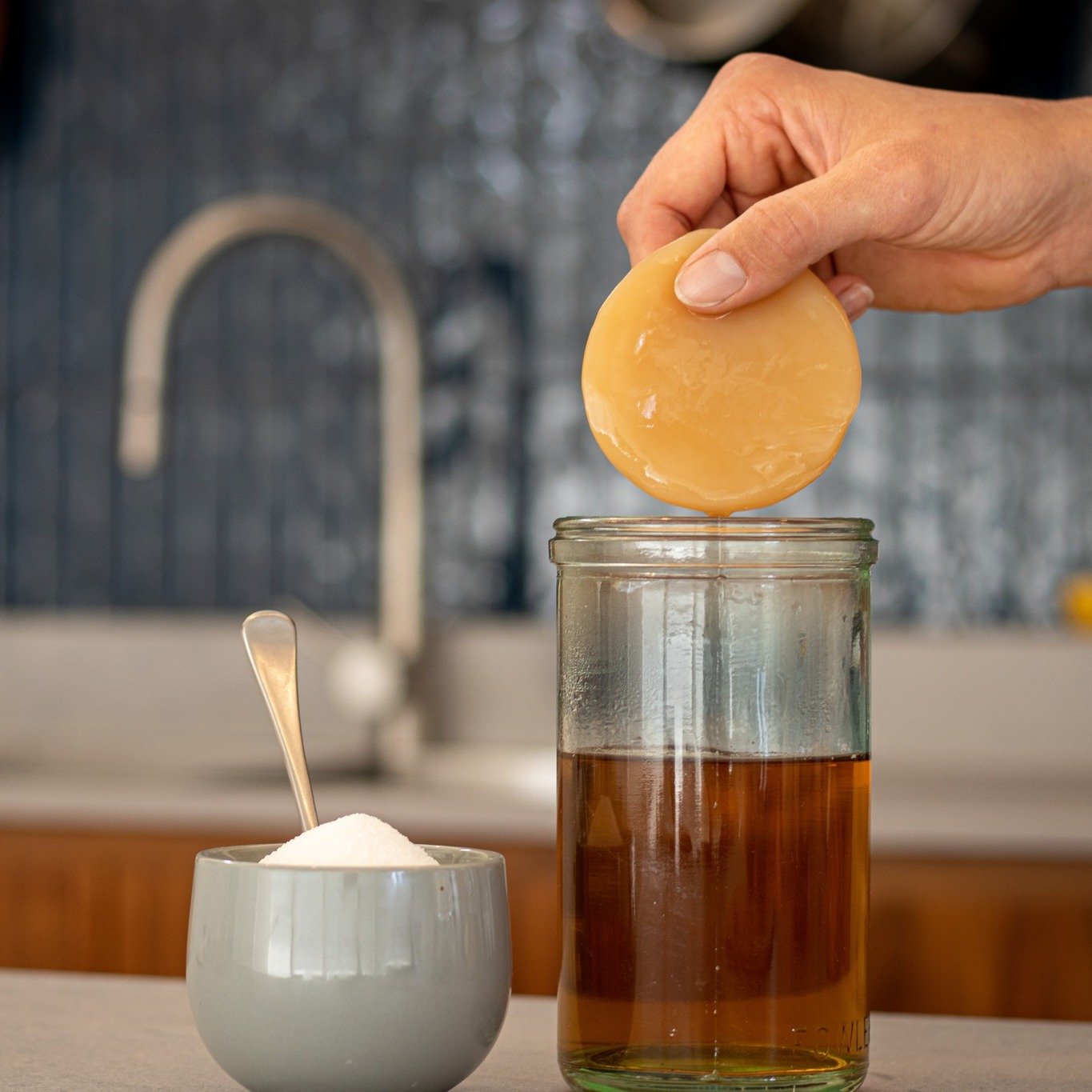 Did you know the kombucha SCOBY is self-regenerating⁉️

The SCOBY (Symbiotic Culture of Bacteria and Yeast) continues to grow and often forms new layers during each brew, which can be peeled off and shared with friends, allowing others to start brewi
