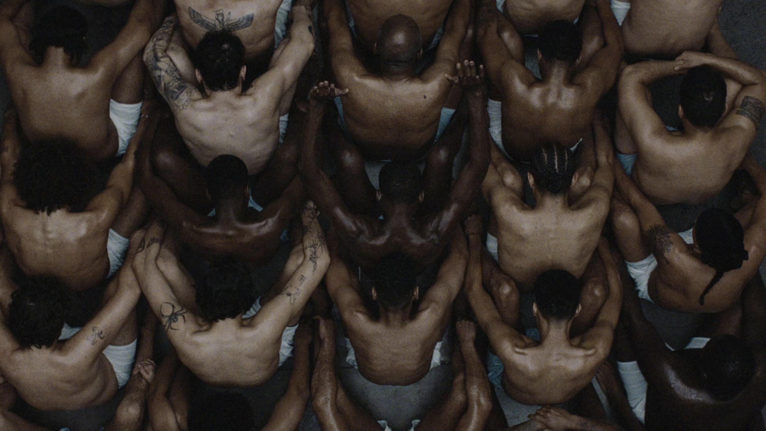 Screenshot 2026-02-17 at 21.43.47.png