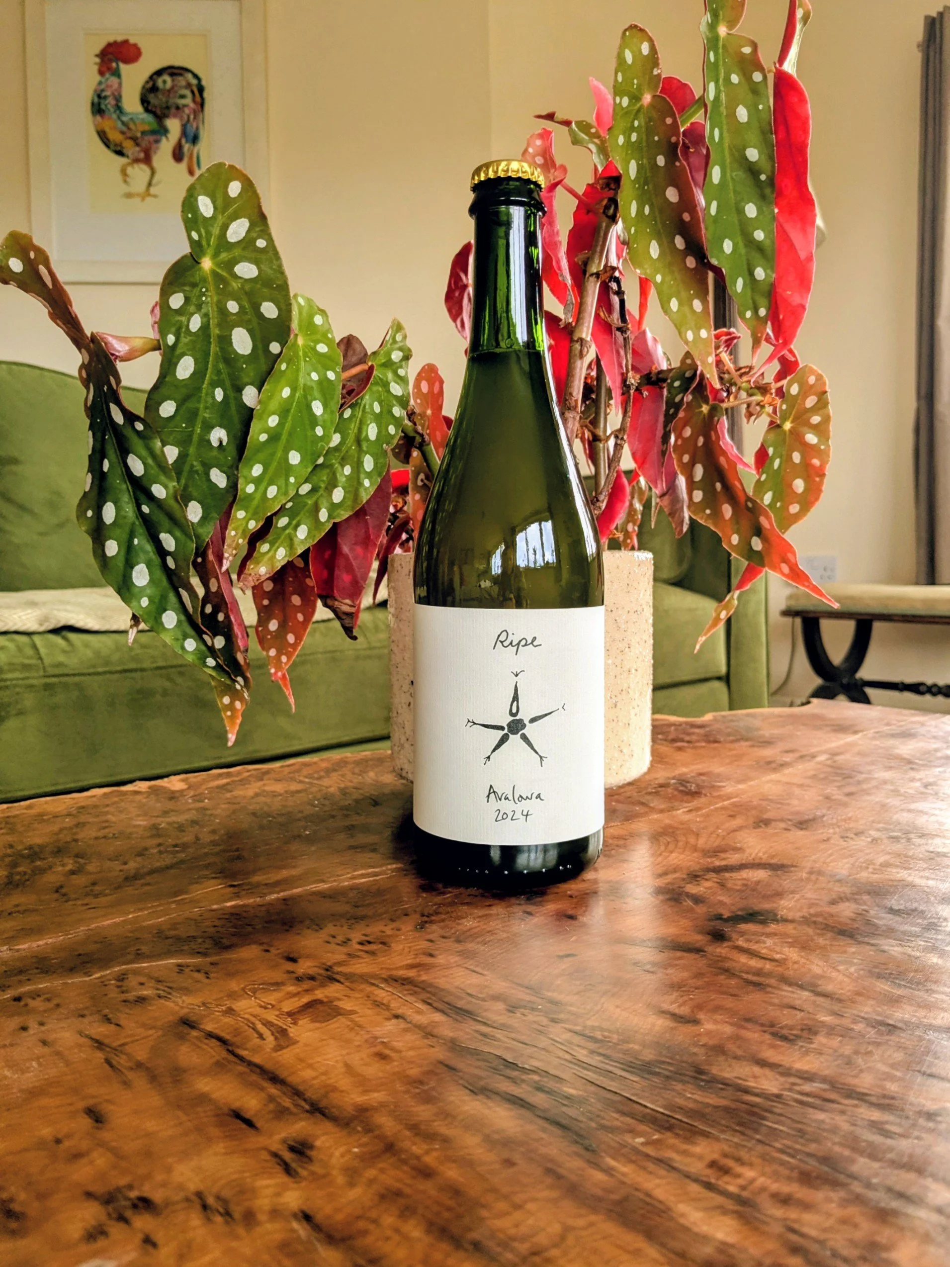 Case of Avalowa 2023 (£15 per bottle, free delivery on cases of 6 or 12, £2 delivery on cases of 4 and £3 delivery on cases on 2)