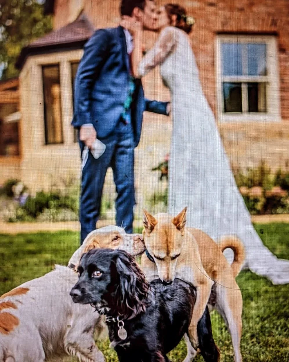 Happy 6 years married @cam.mitchell2 😍
Celebrating in style with some bottling, papped by @rorysheehan7943 💚 💚

#couplesthatworktogetherstaytogether