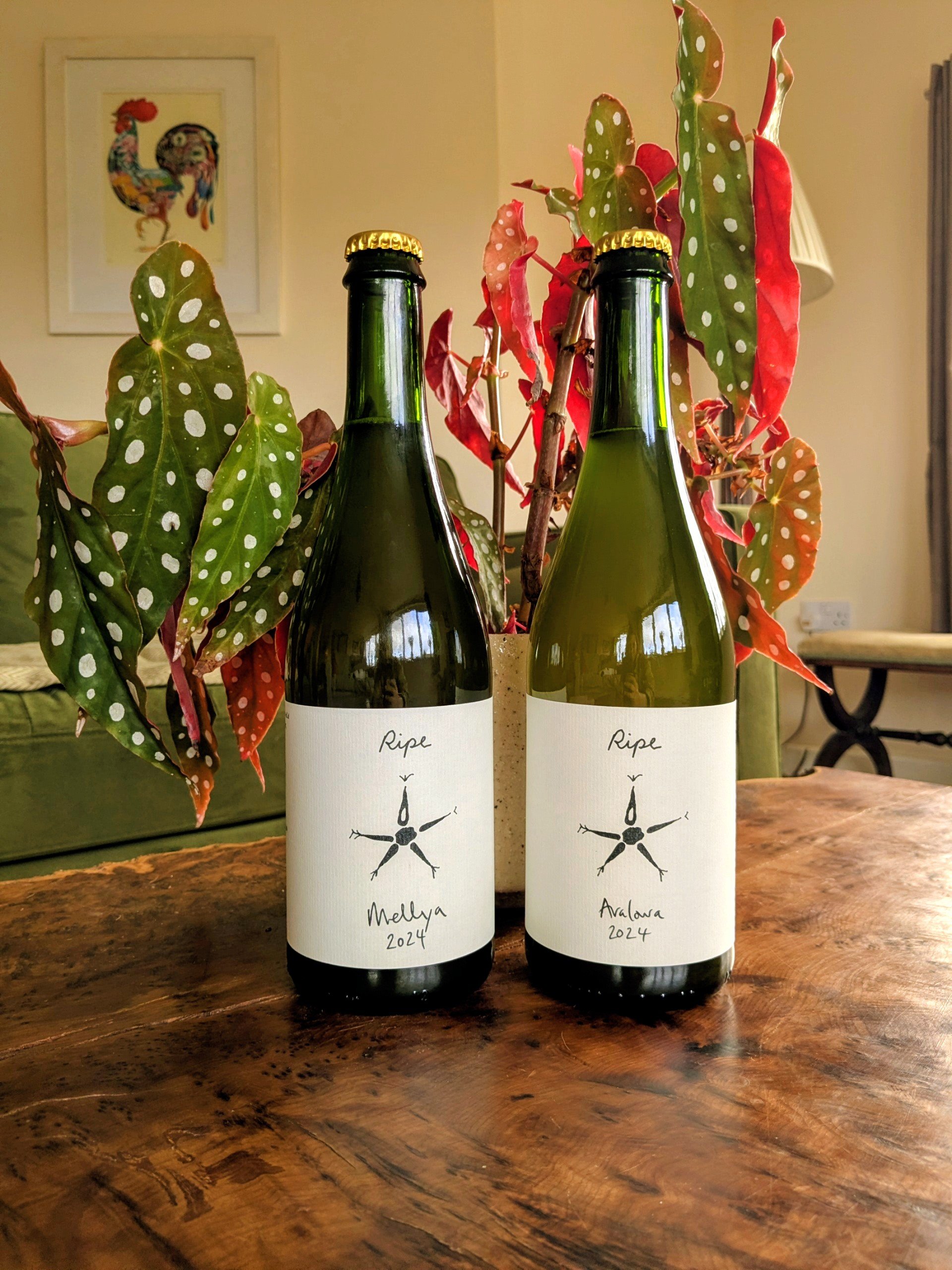 Mixed Case of Mellya 2024 & Avalowa 2024 (£15 per bottle, free delivery on cases of 6 or 12, £2 delivery on cases of 4 and £3 delivery on cases on 2)