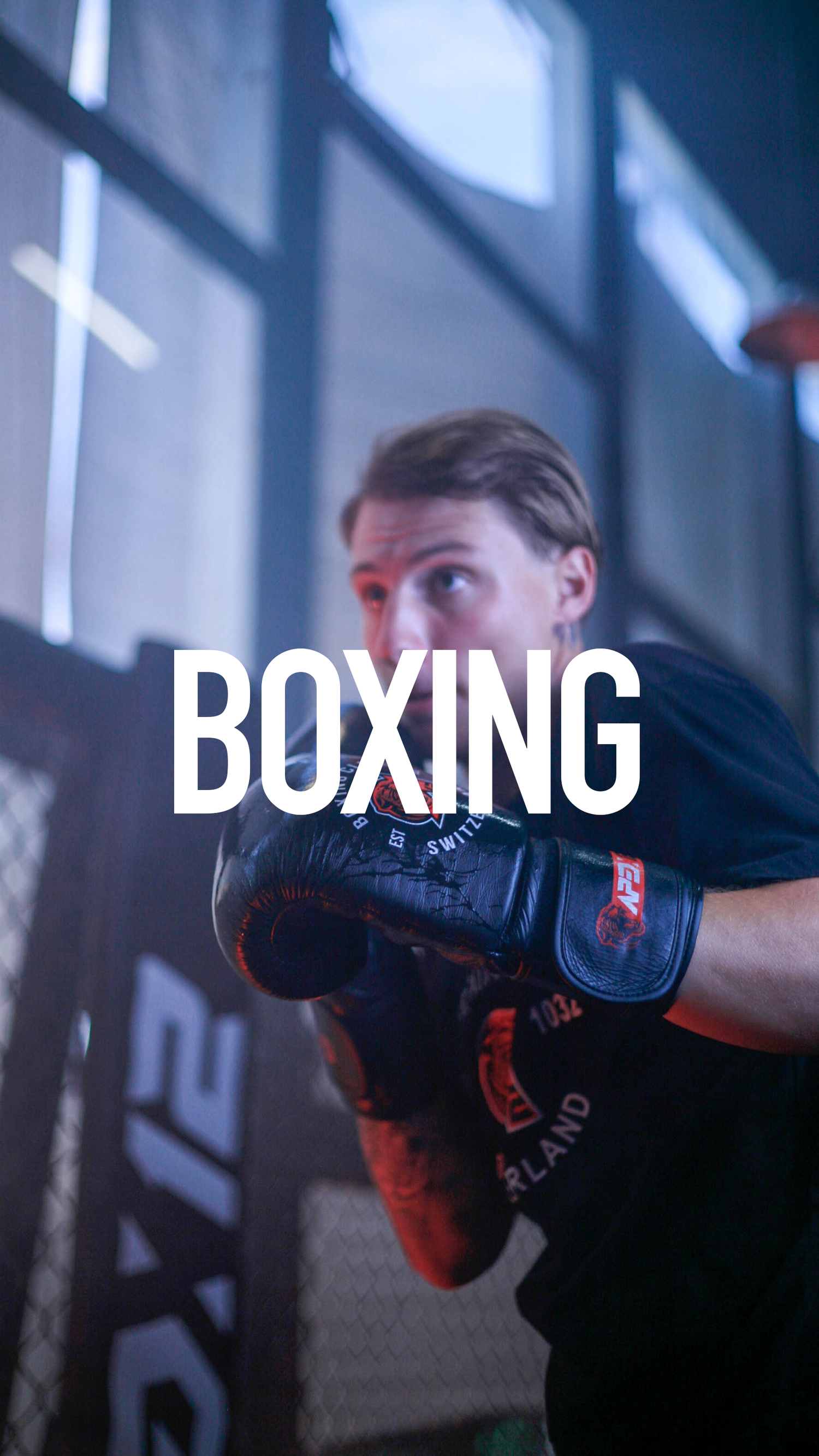 Boxe Anglaise