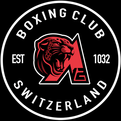 APEX12 Boxing Club Switzerland