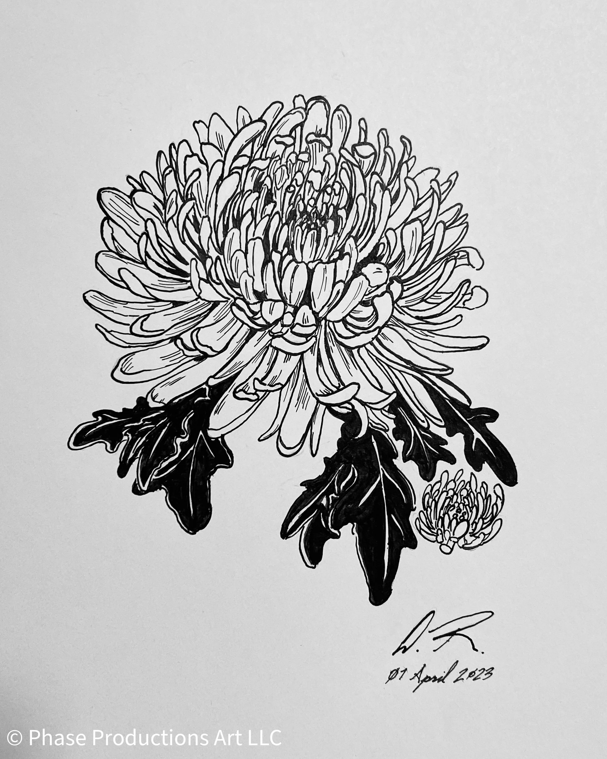 Chrysanthemum Tattoo 01 