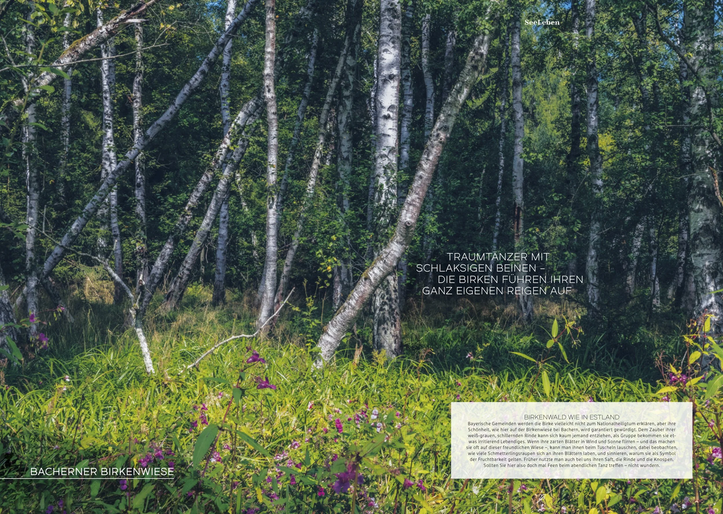 five-lake-region-summer-holiday-janina-laszlo008.jpg