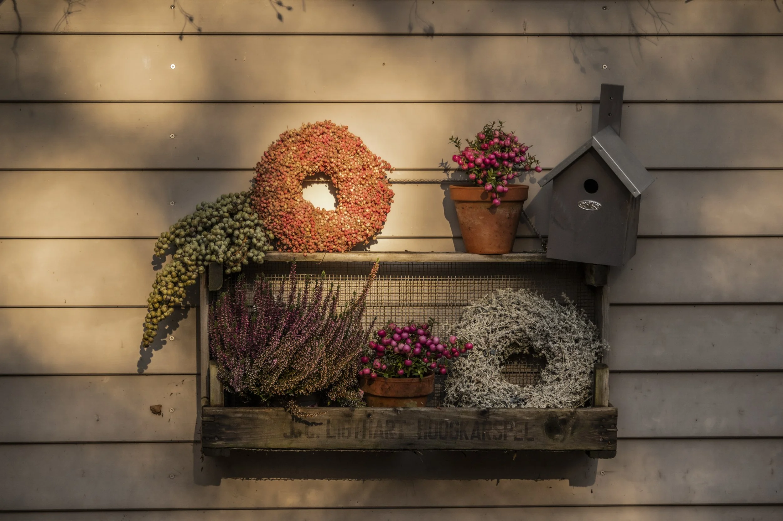 autumn-mood-janina-laszlo-sarah-stiller-my-cottage-garden010.jpg