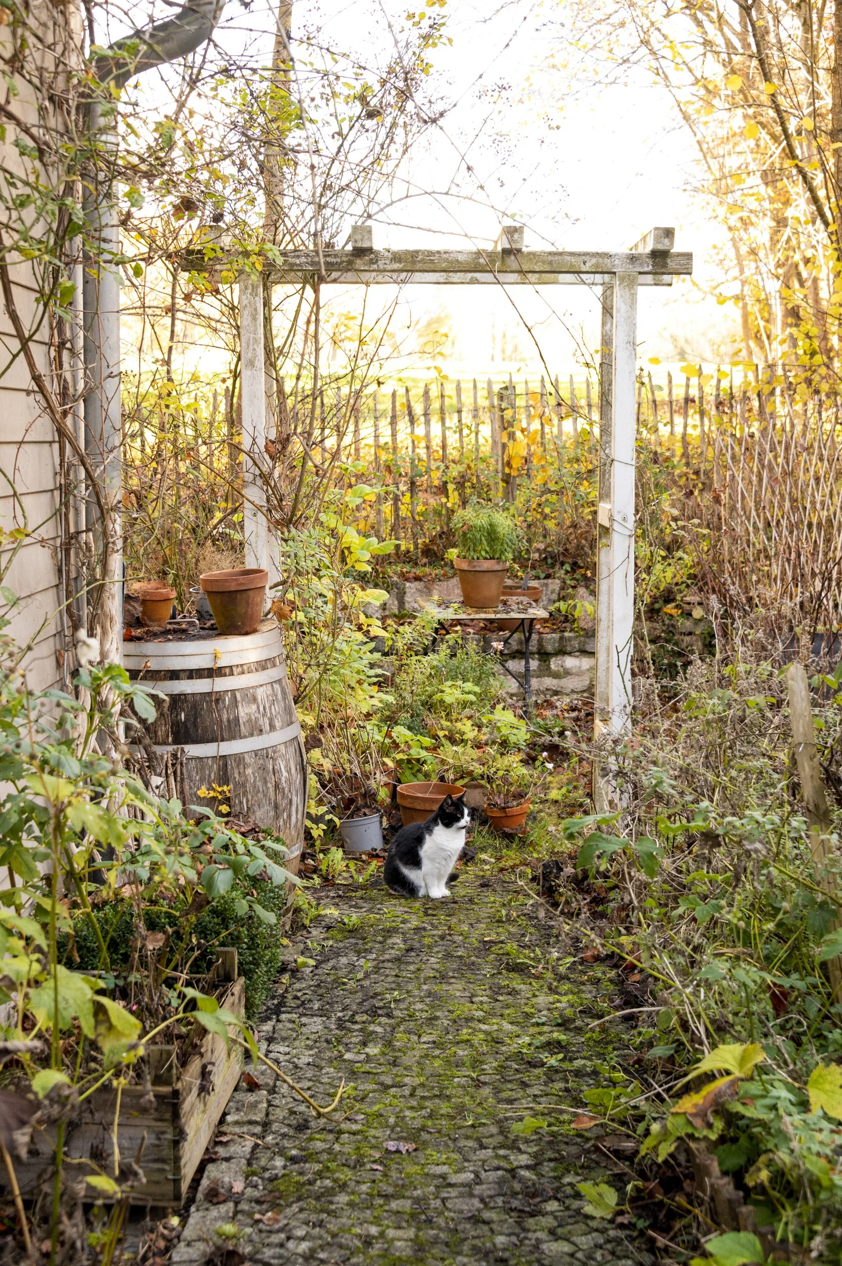 moody-autumn-janina-laszlo-sarah-stiller-my-cottage-garden026.jpg