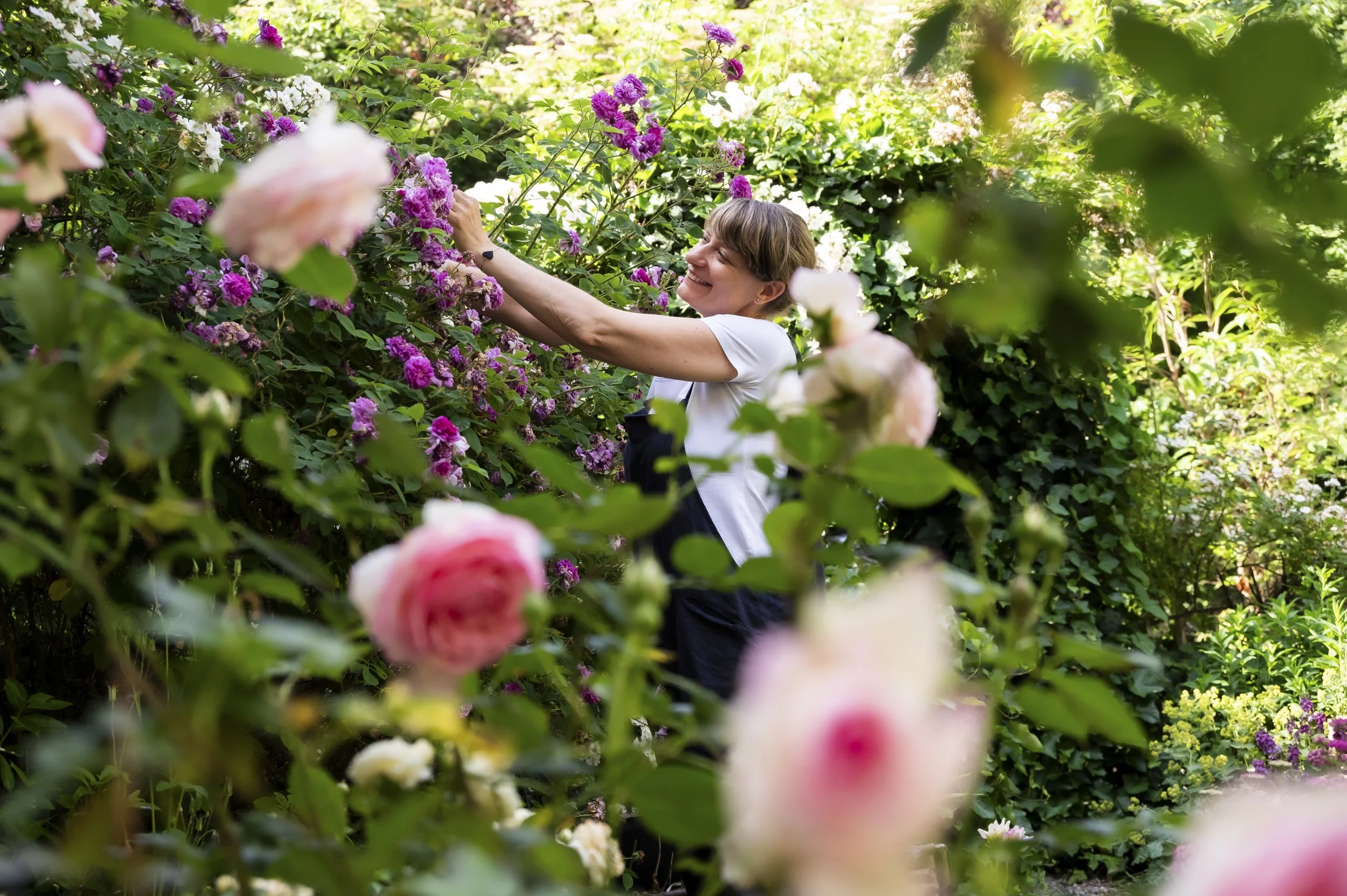 janina-laszlo-my-cottage-garden-sarah-stiller-rose-garden-reportage  003.jpg