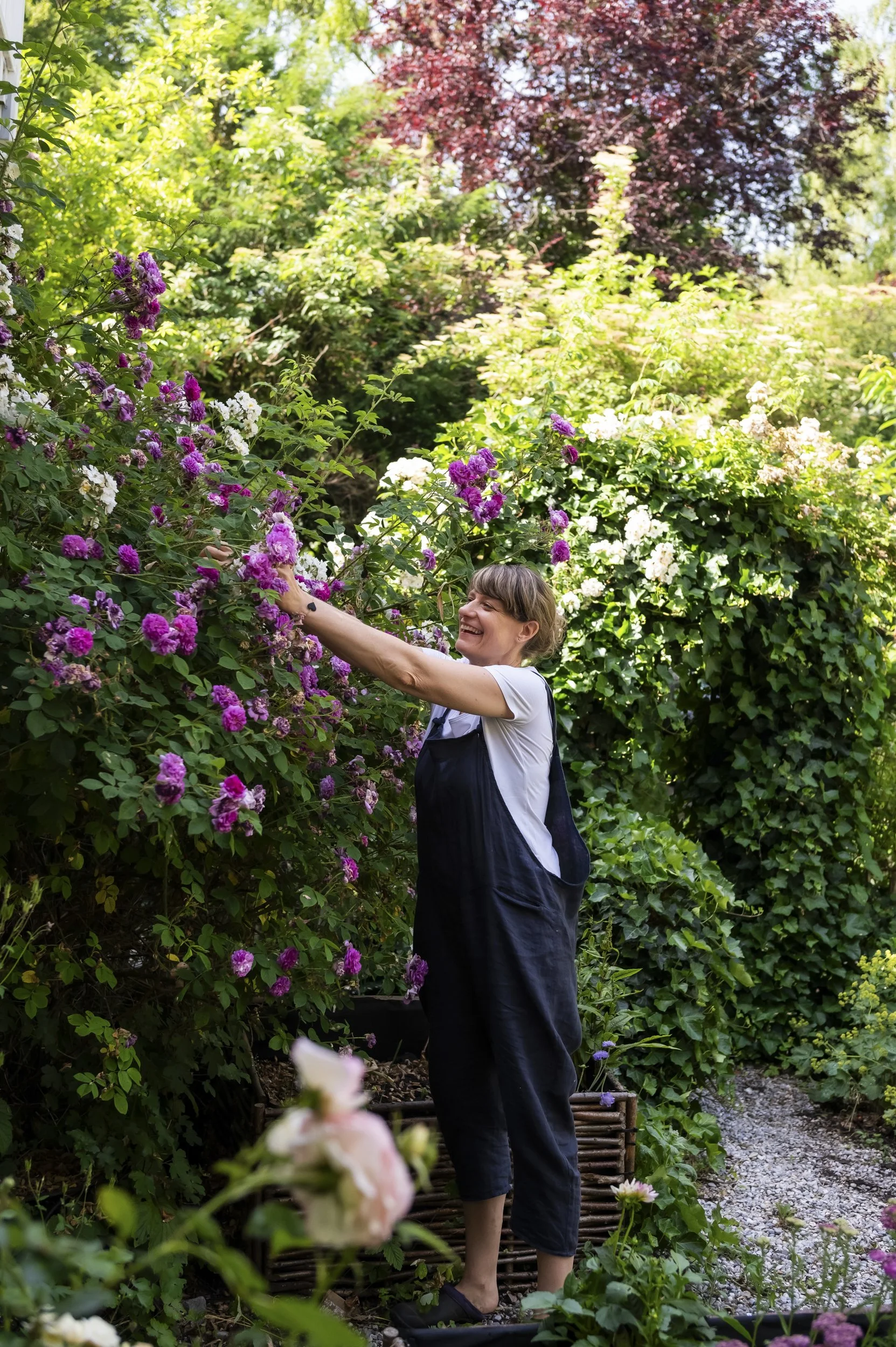 janina-laszlo-my-cottage-garden-sarah-stiller-rose-garden-reportage  002.jpg