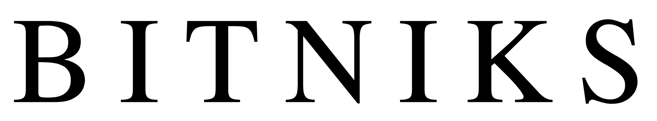 The word 'BITNIKS' in large black serif font on a white background.