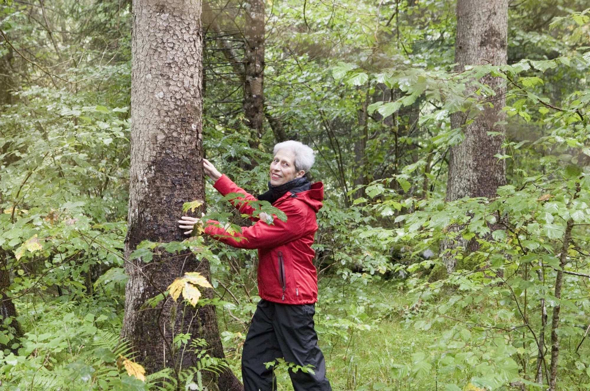 Andrea Fischbacher — Kraftorte & Literatur