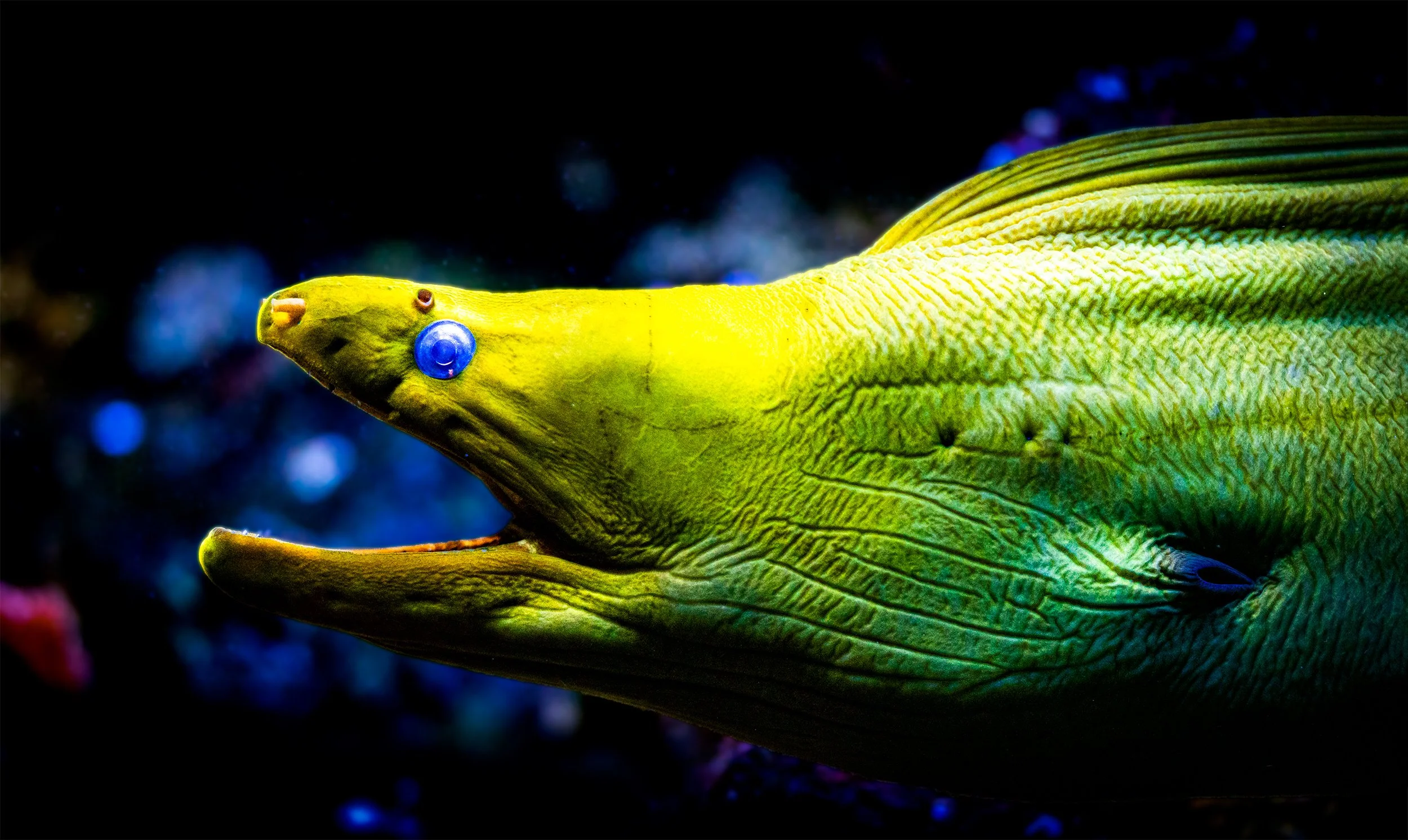 export_DSC2985-1.jpg