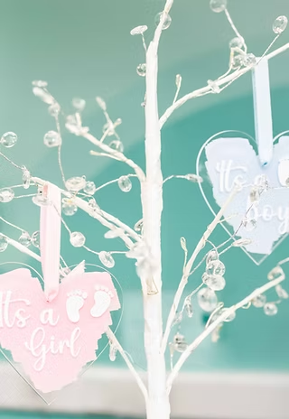 White decorative gender reveal tree with “It’s a Girl” and “It’s a Boy” heart signs inside Imaginatal clinic