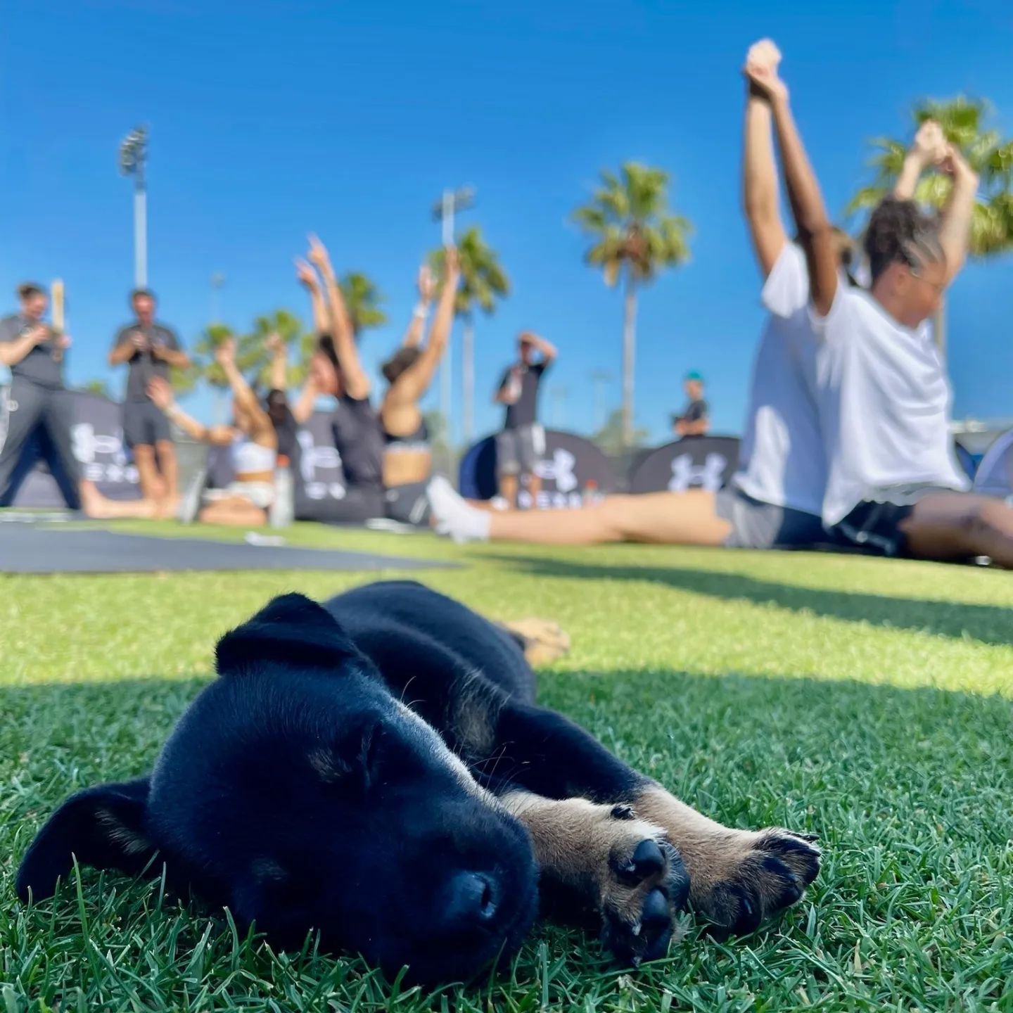 Teaching Pilates at Dawg Class with Kelsey Plum had varying degrees of intensity for the athletes. Pre court Pilates activation work aka find your powerhouse first, post court recovery core work and mindful stretching, annnnddd a fun morning session 