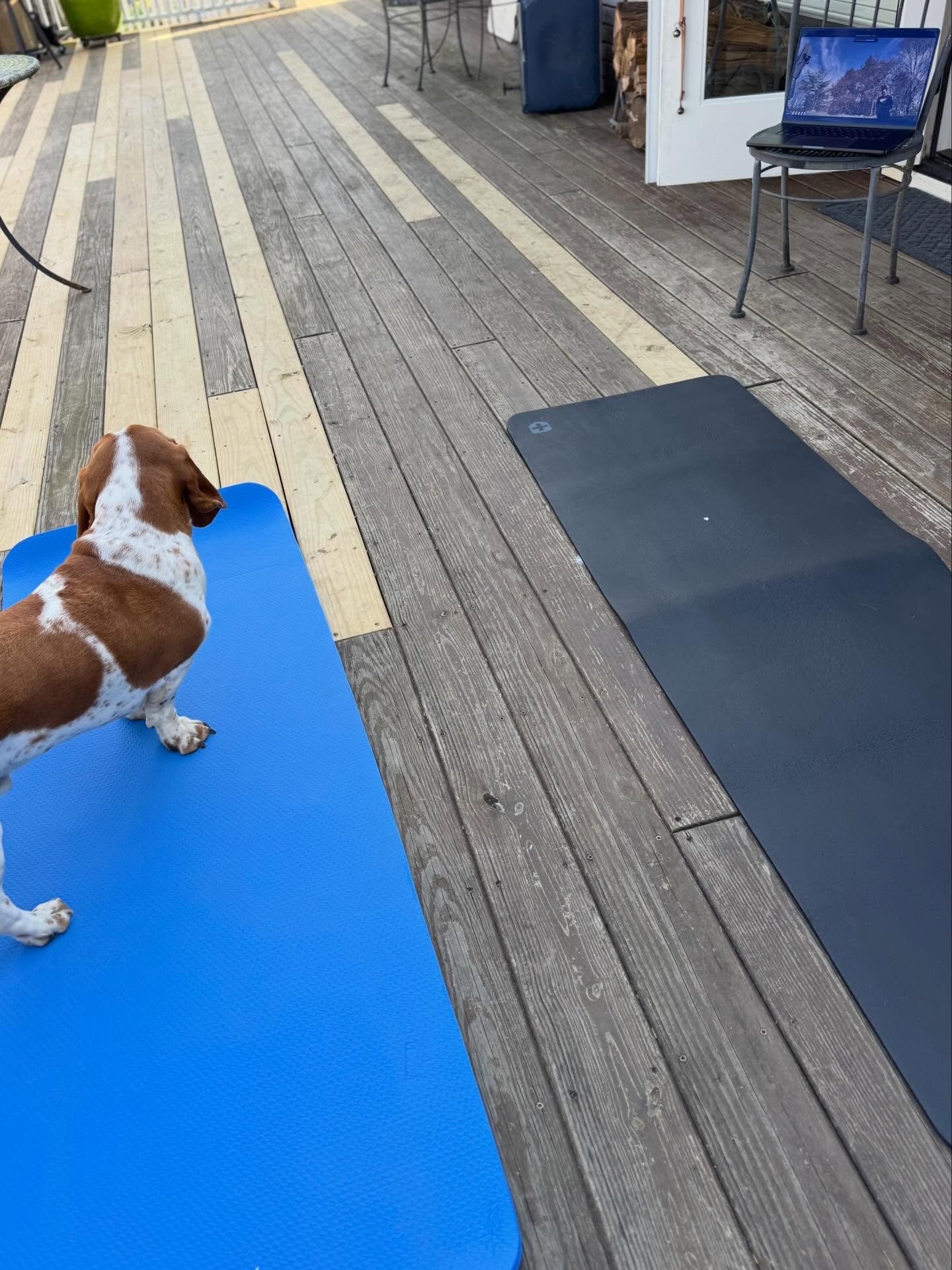 Hustled today to do it all! 

Made it to my kid&rsquo;s performance at school AND didn&rsquo;t have to cancel my two classes online. 

Thanks to friends and family with great porches, a laptop + internet, and a surge of amazing spring  weather&hellip