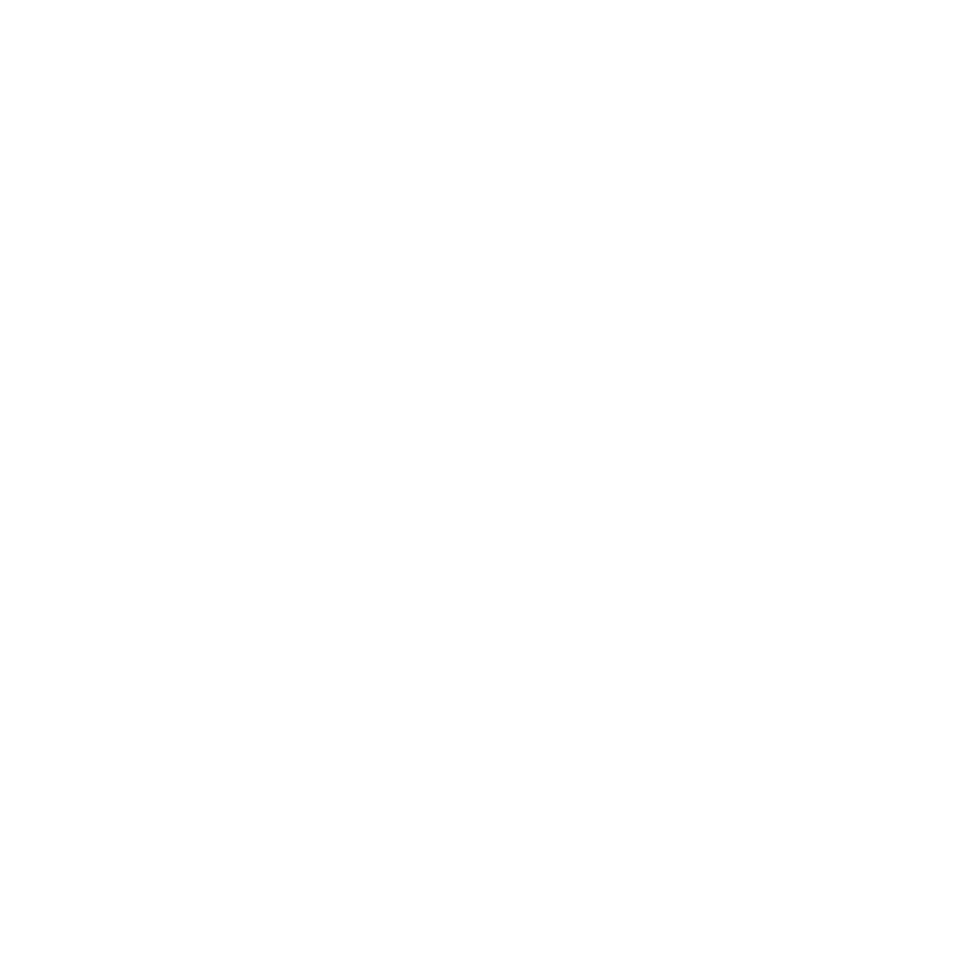 PersonDriver.png
