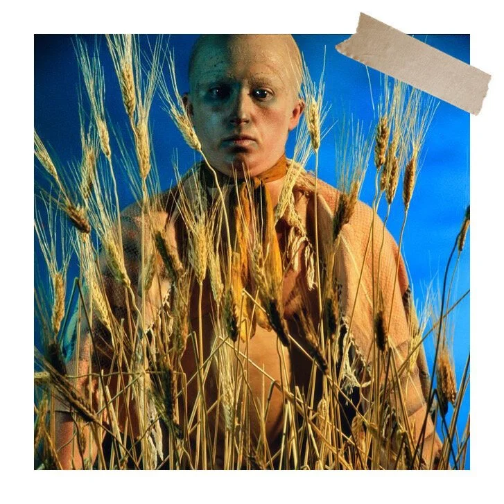 Monday Muse: Cindy Sherman, Untitled Horrors